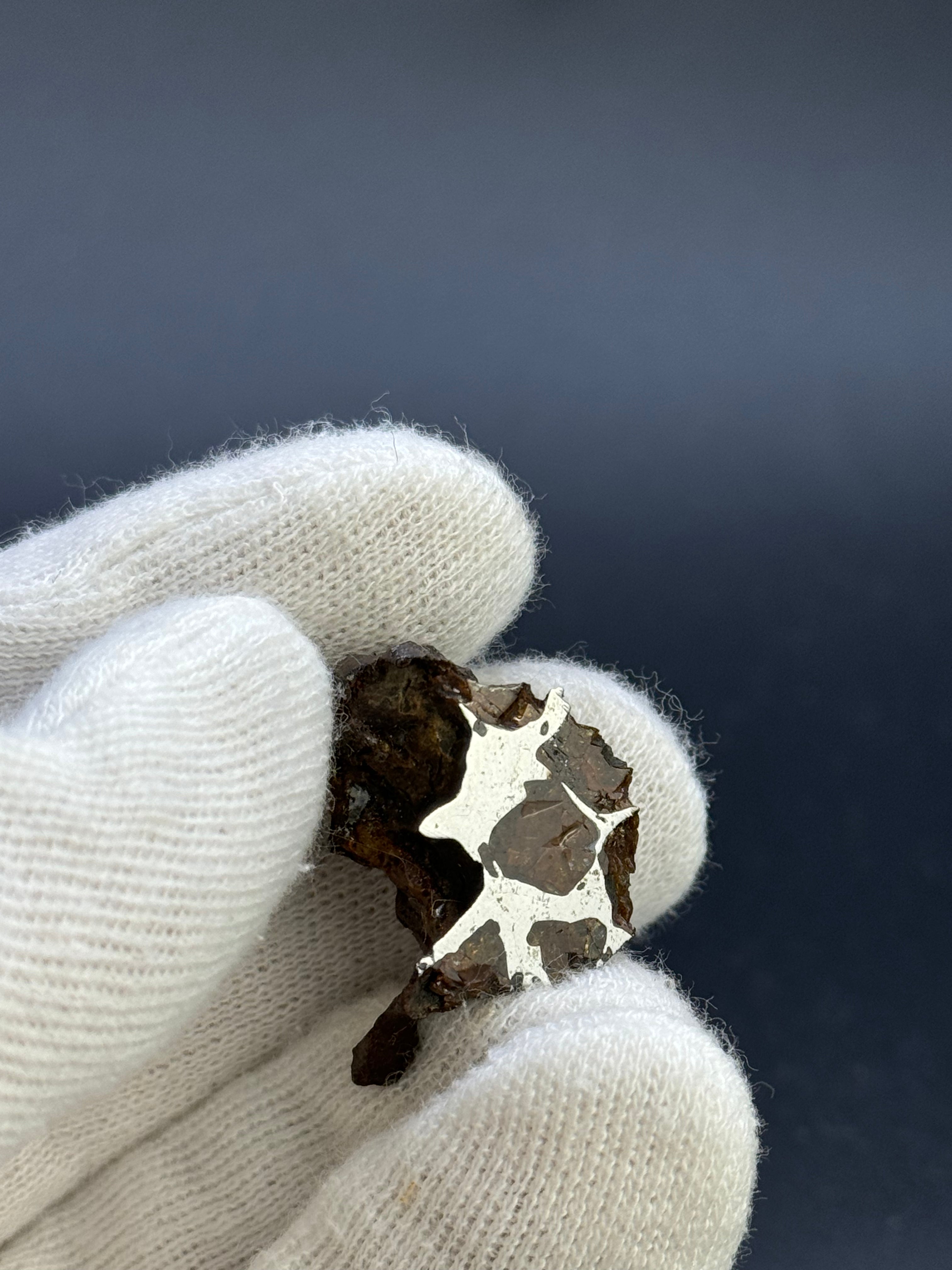 Imilac Pallasite meteorite, Chile. 16,45g