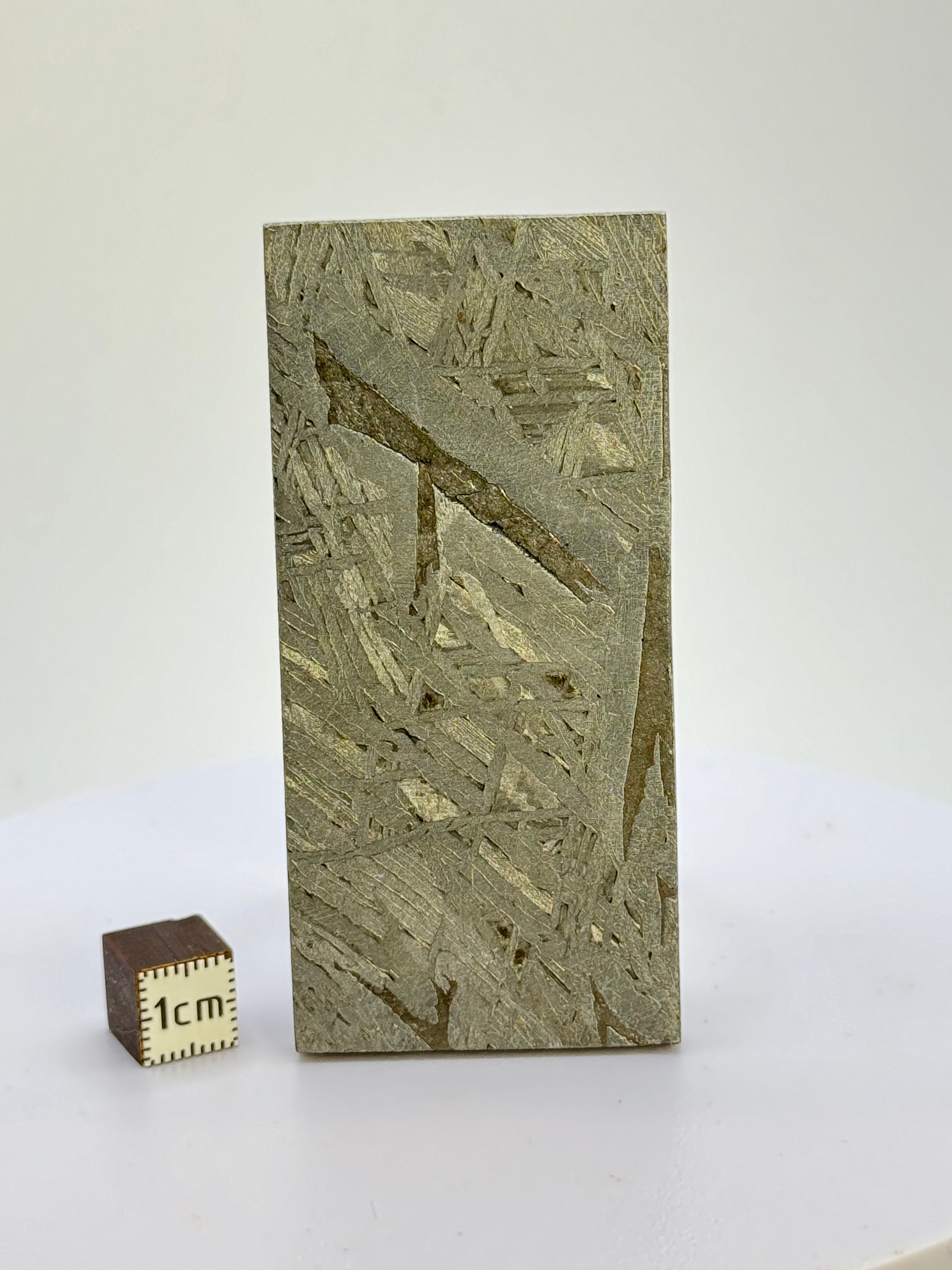 Aletai meteorite, Gobi Desert, China. 102 grams.