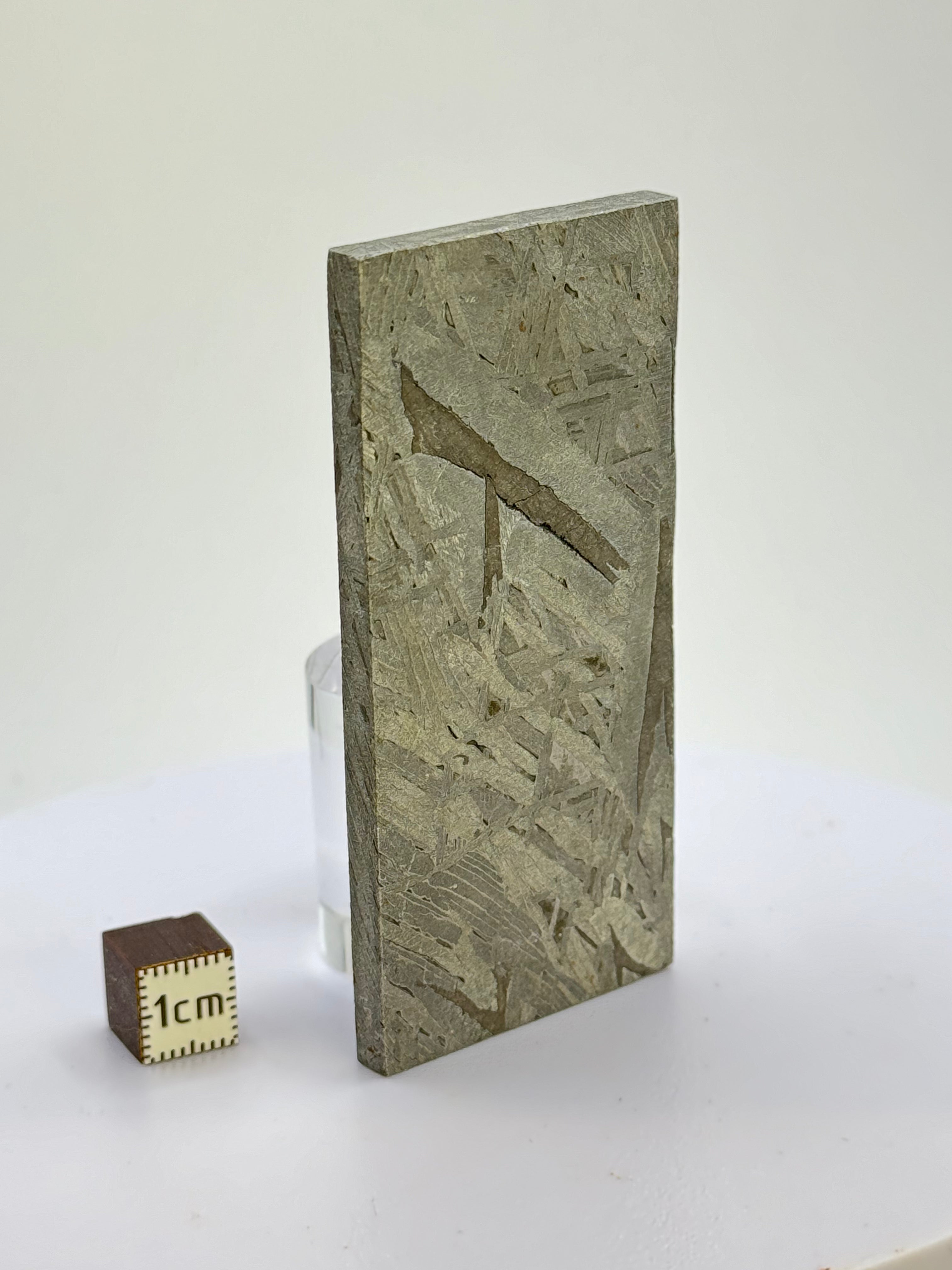 Aletai meteorite, Gobi Desert, China. 102 grams.