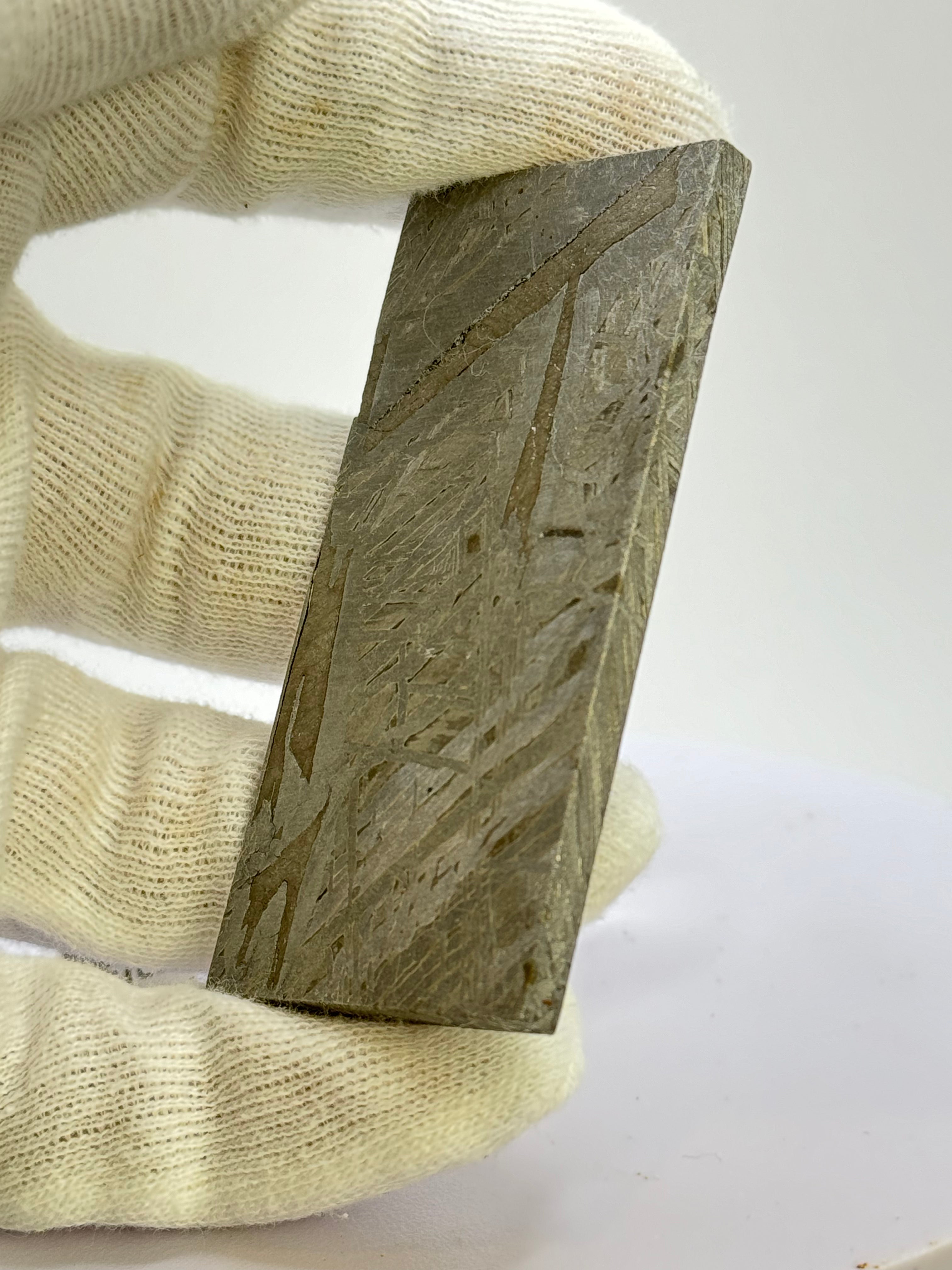 Aletai meteorite, Gobi Desert, China. 102 grams.