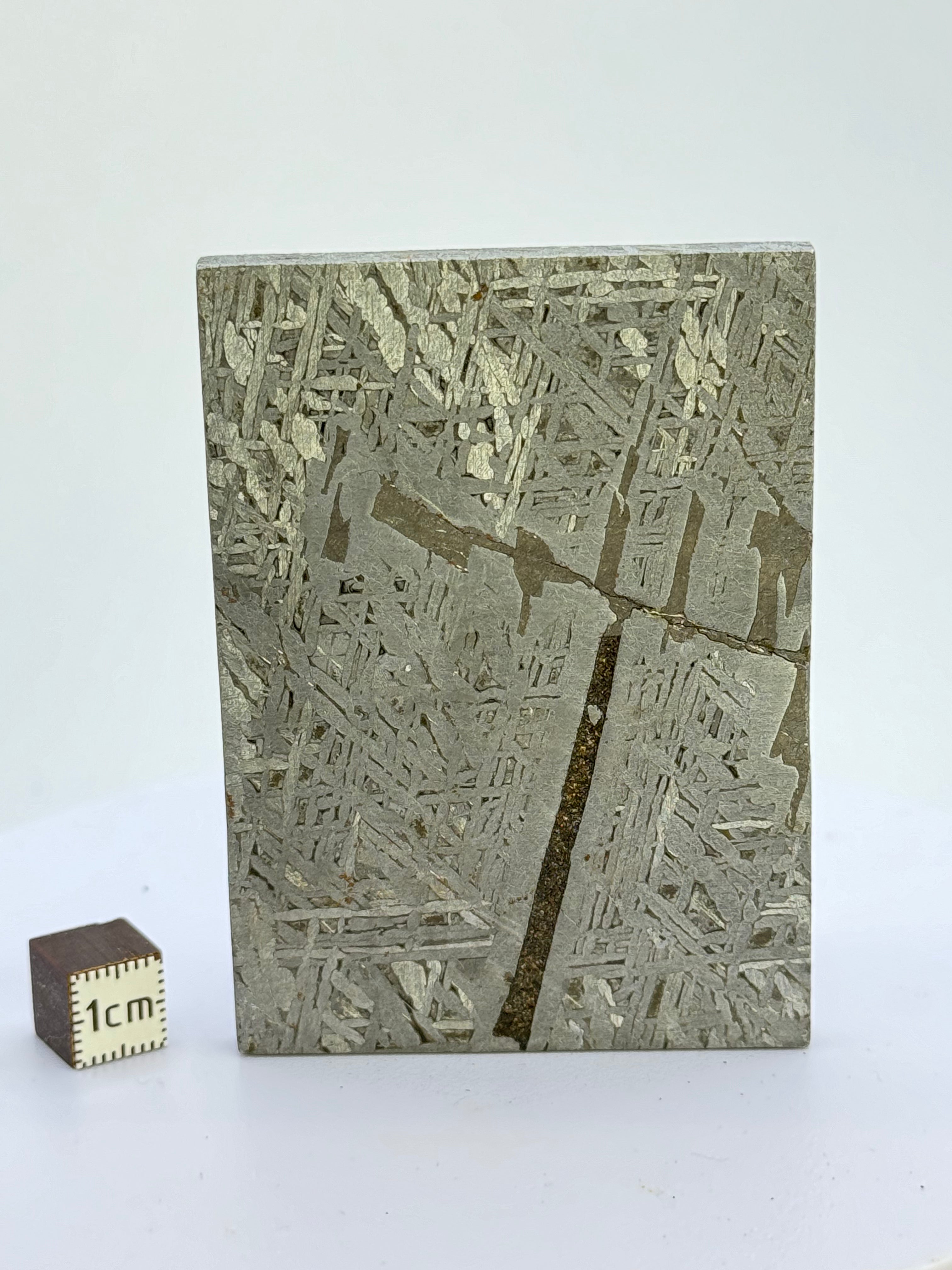 Aletai Meteorite, Gobi Desert, China. 154 grams.