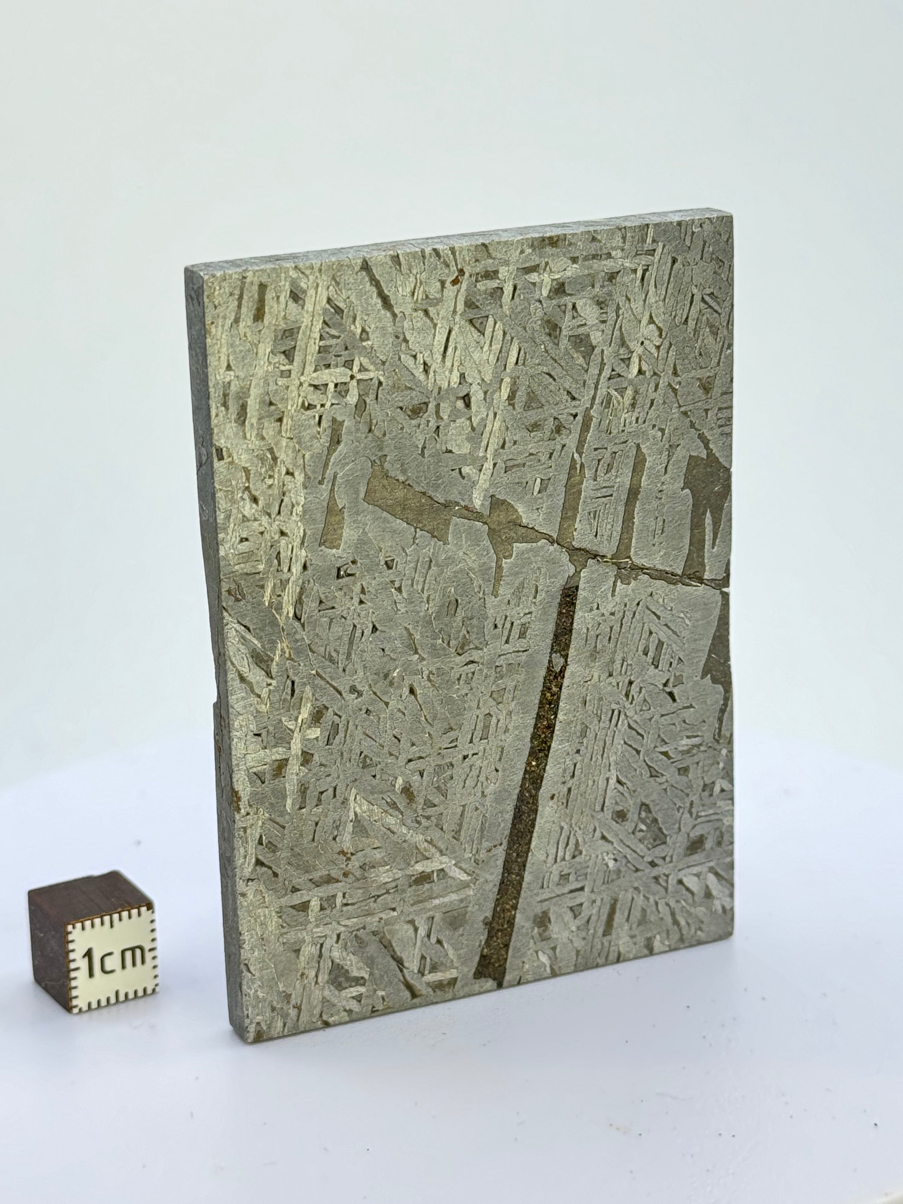 Aletai Meteorite, Gobi Desert, China. 154 grams.