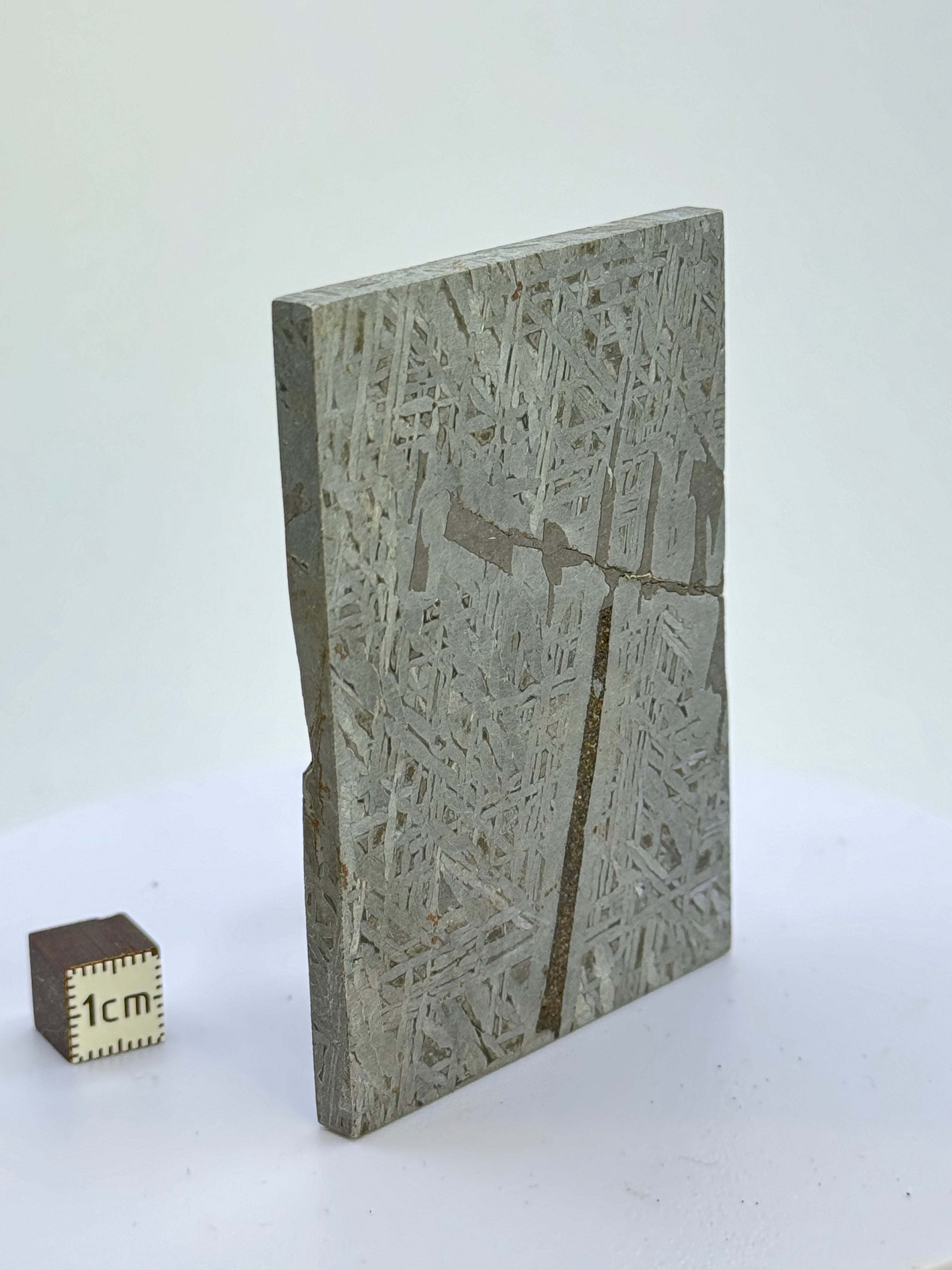 Aletai Meteorite, Gobi Desert, China. 154 grams.