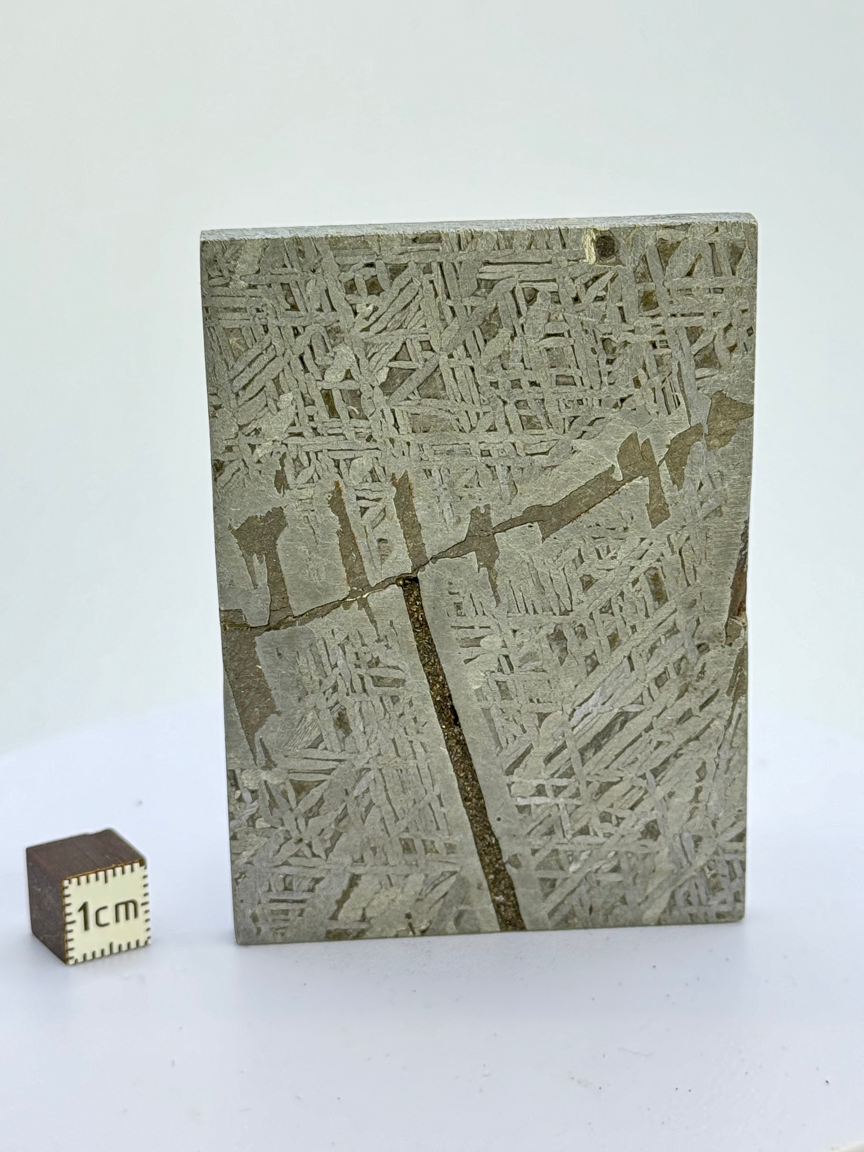 Aletai Meteorite, Gobi Desert, China. 154 grams.