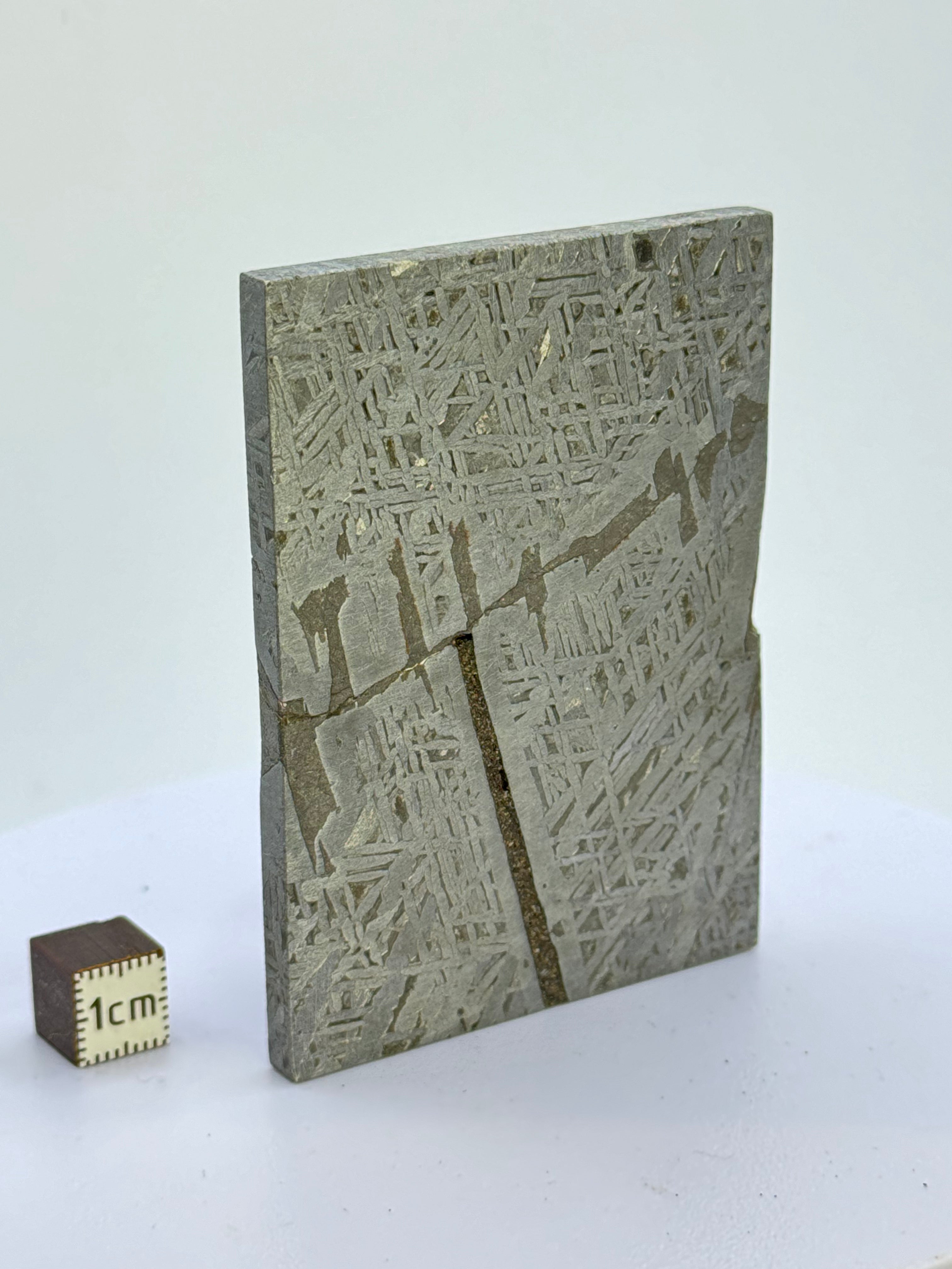 Aletai Meteorite, Gobi Desert, China. 154 grams.