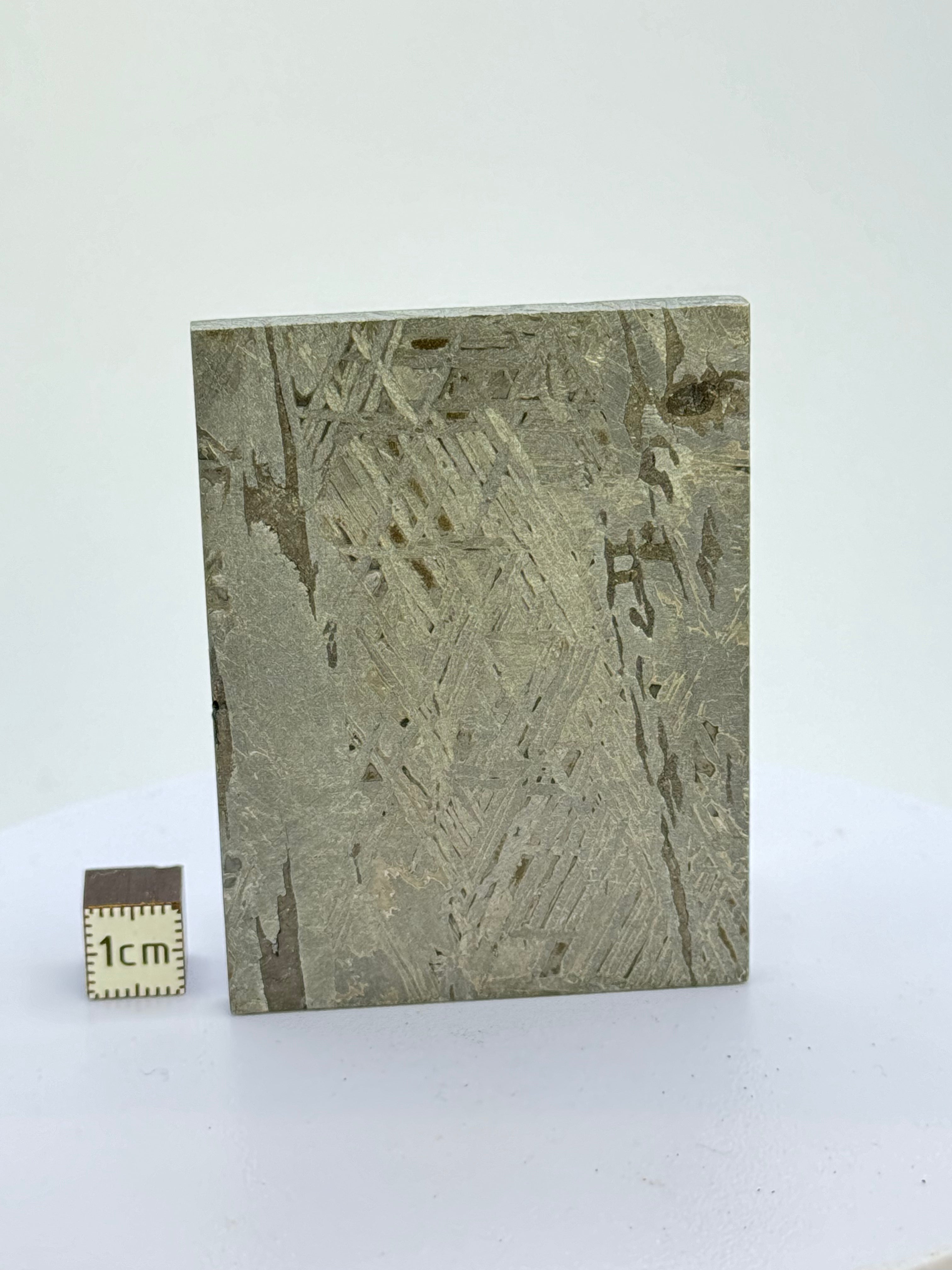 Aletai Meteorite, Gobi Desert, China. 128 grams.