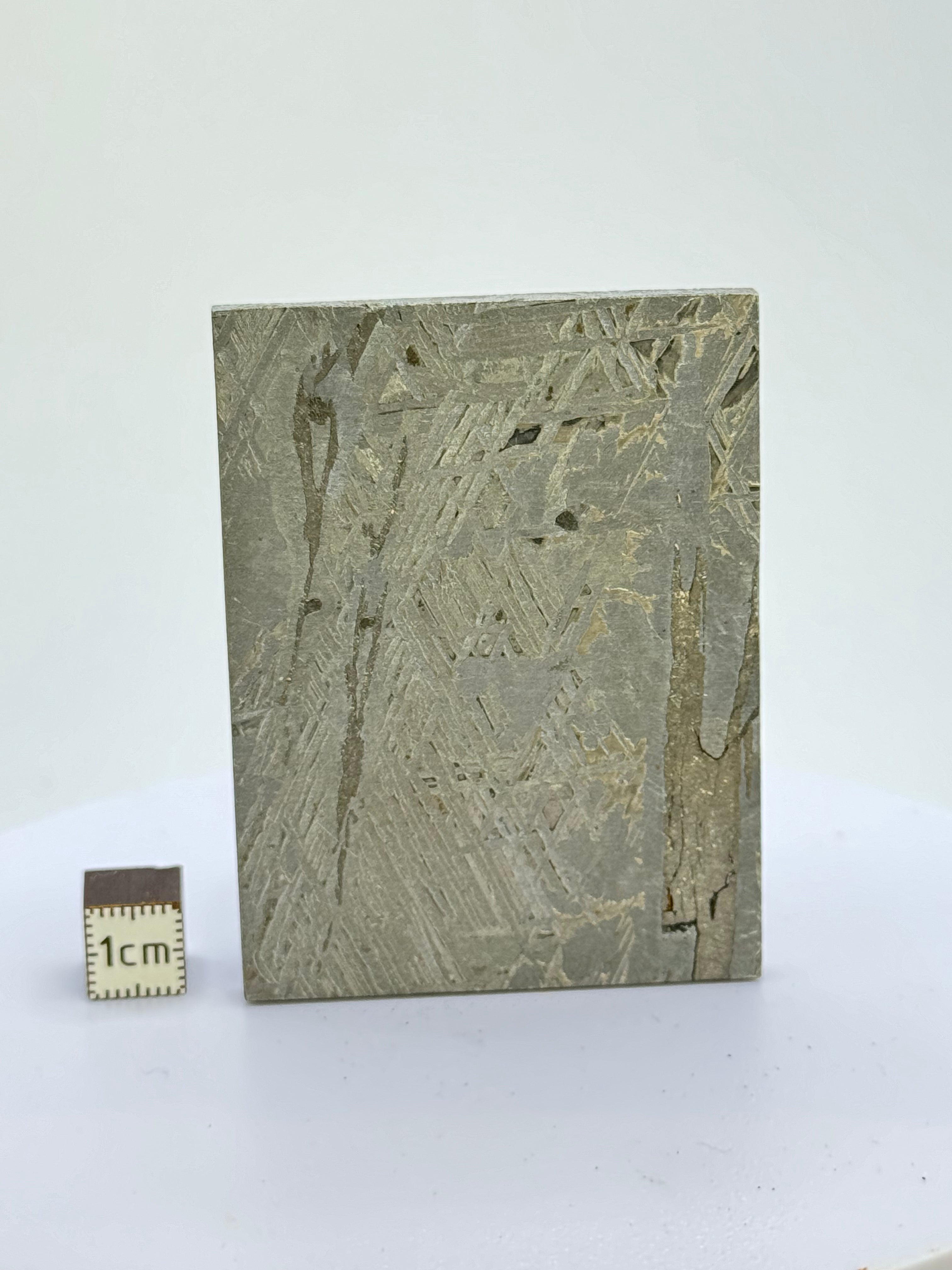 Aletai Meteorite, Gobi Desert, China. 128 grams.