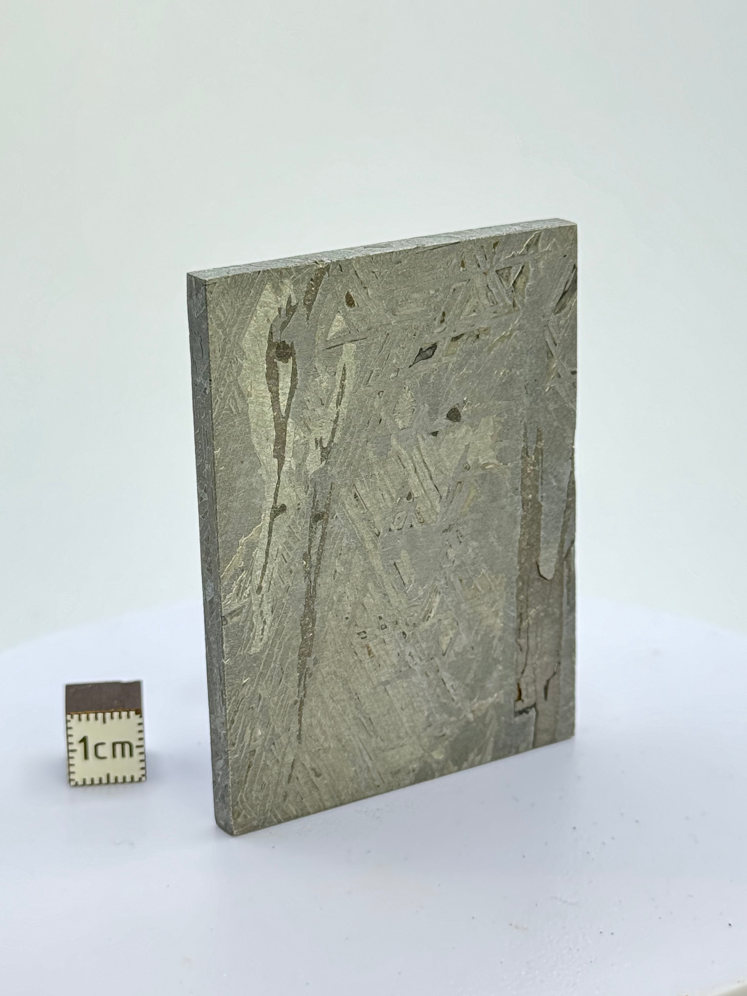 Aletai Meteorite, Gobi Desert, China. 128 grams.