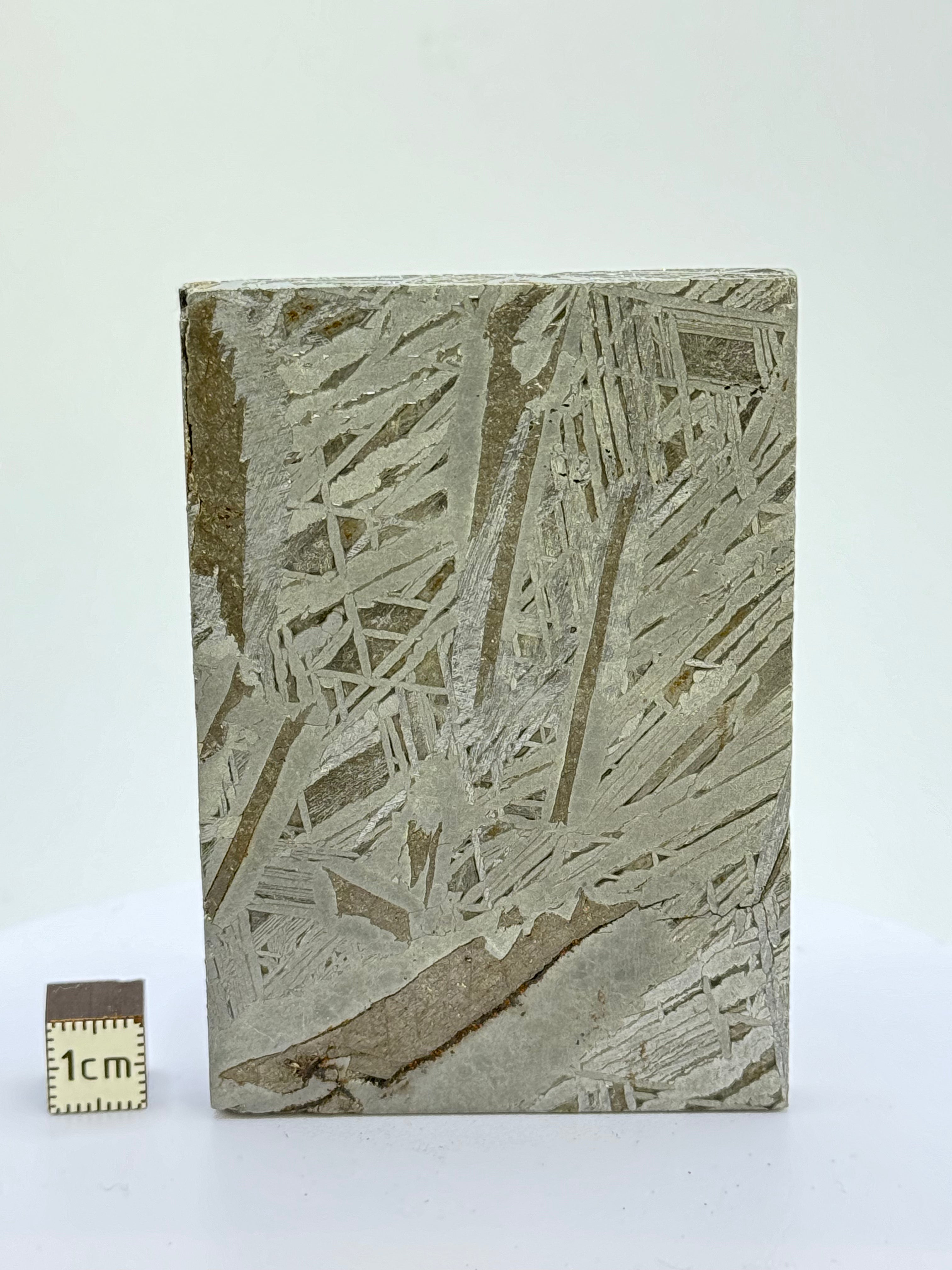 Aletai Meteorite, Gobi Desert, China. 241 grams.