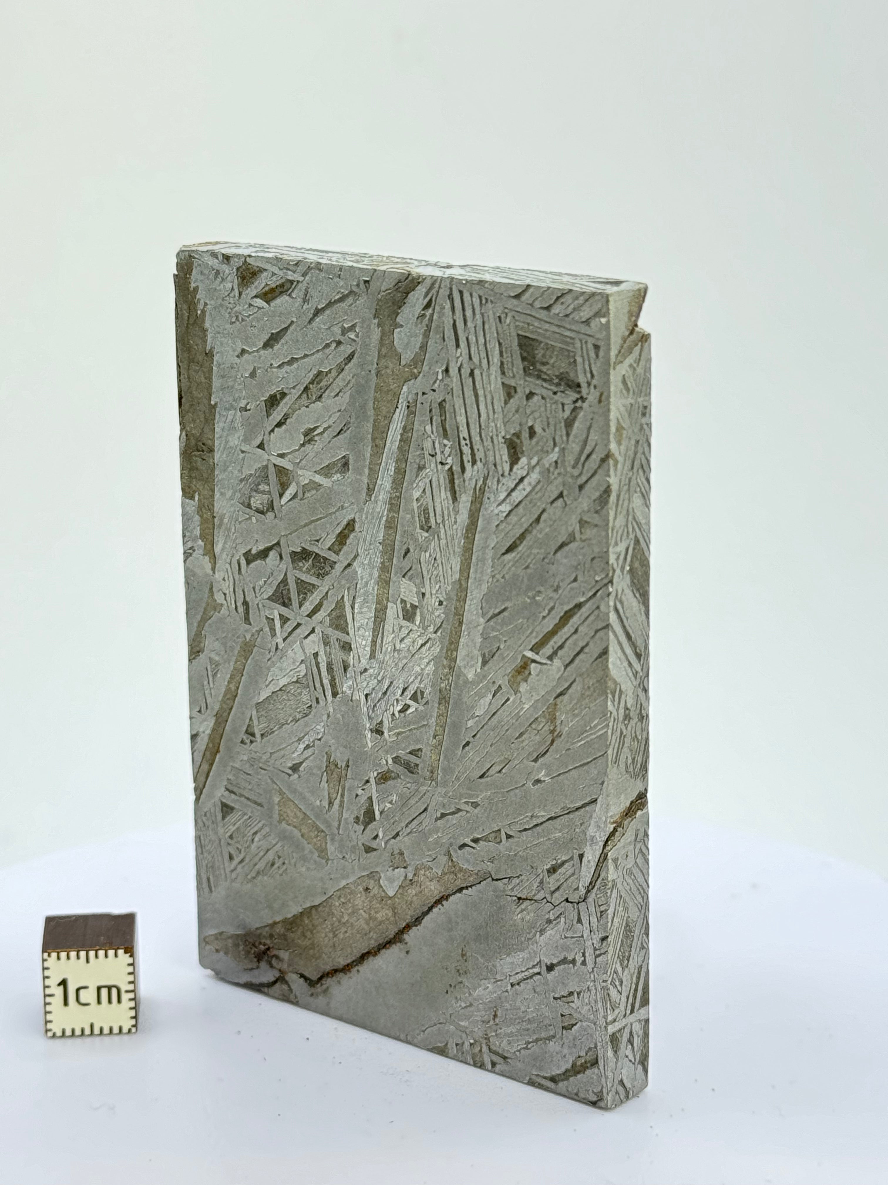 Aletai Meteorite, Gobi Desert, China. 241 grams.