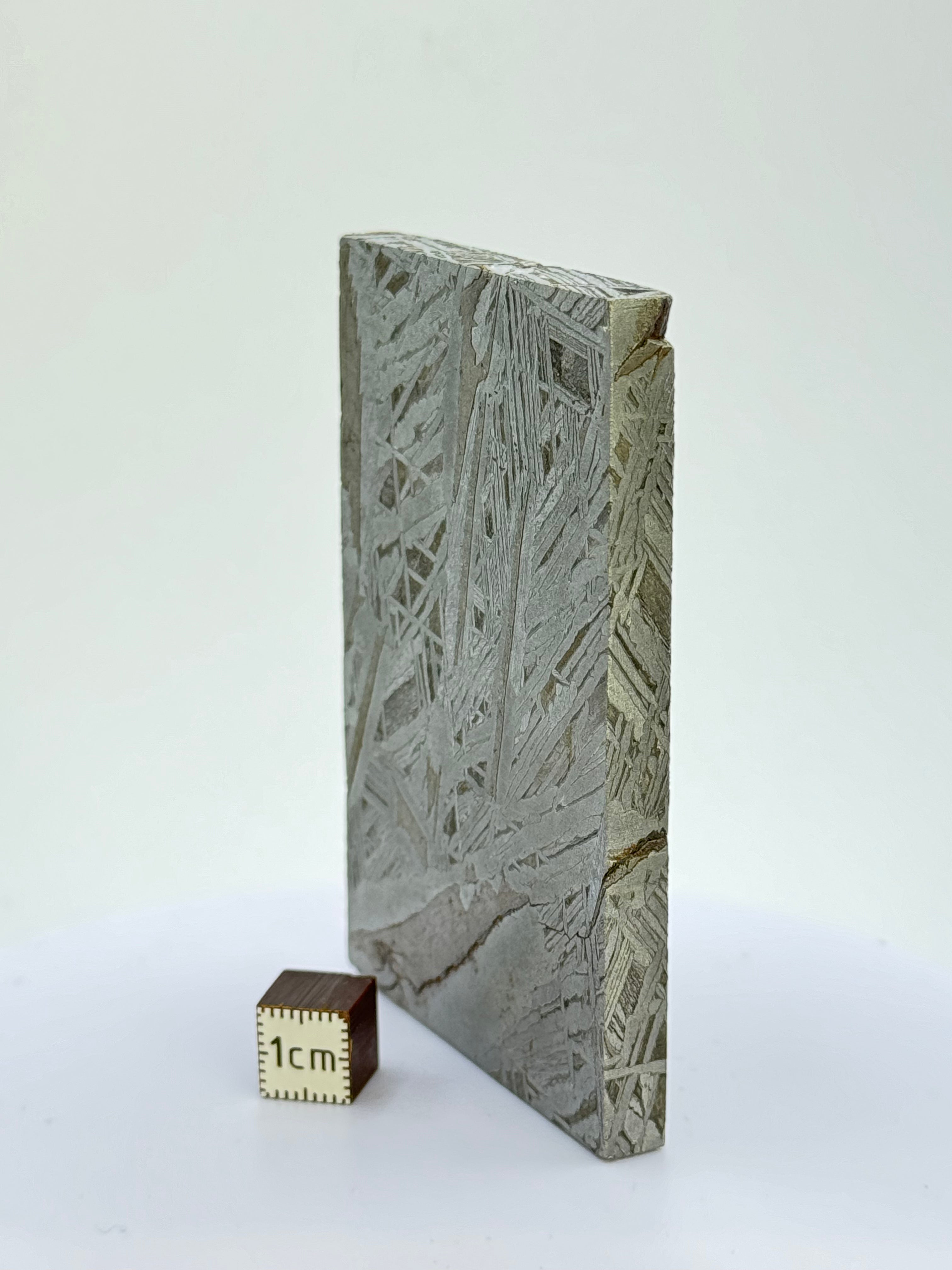 Aletai Meteorite, Gobi Desert, China. 241 grams.