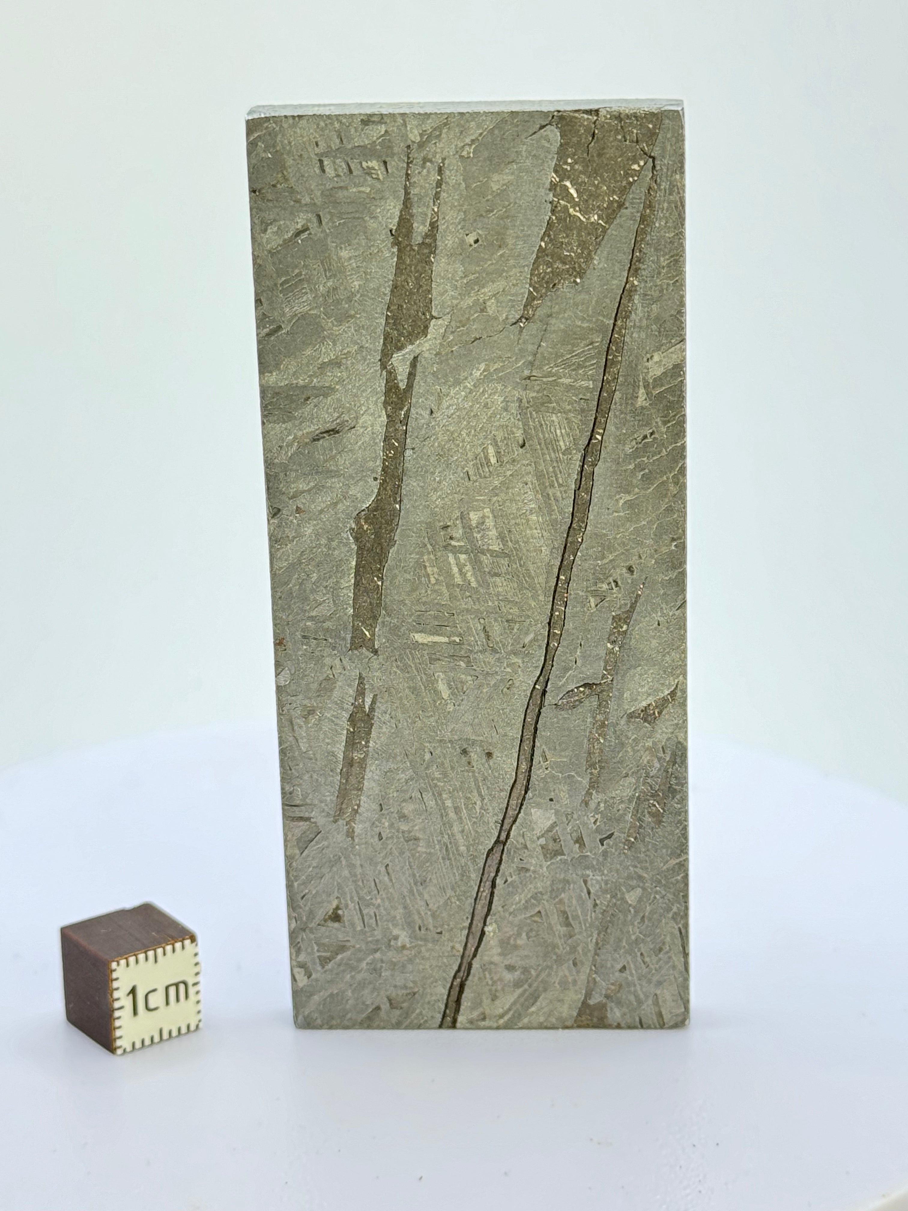 Aletai Meteorite, Gobi Desert, China. 136 grams.