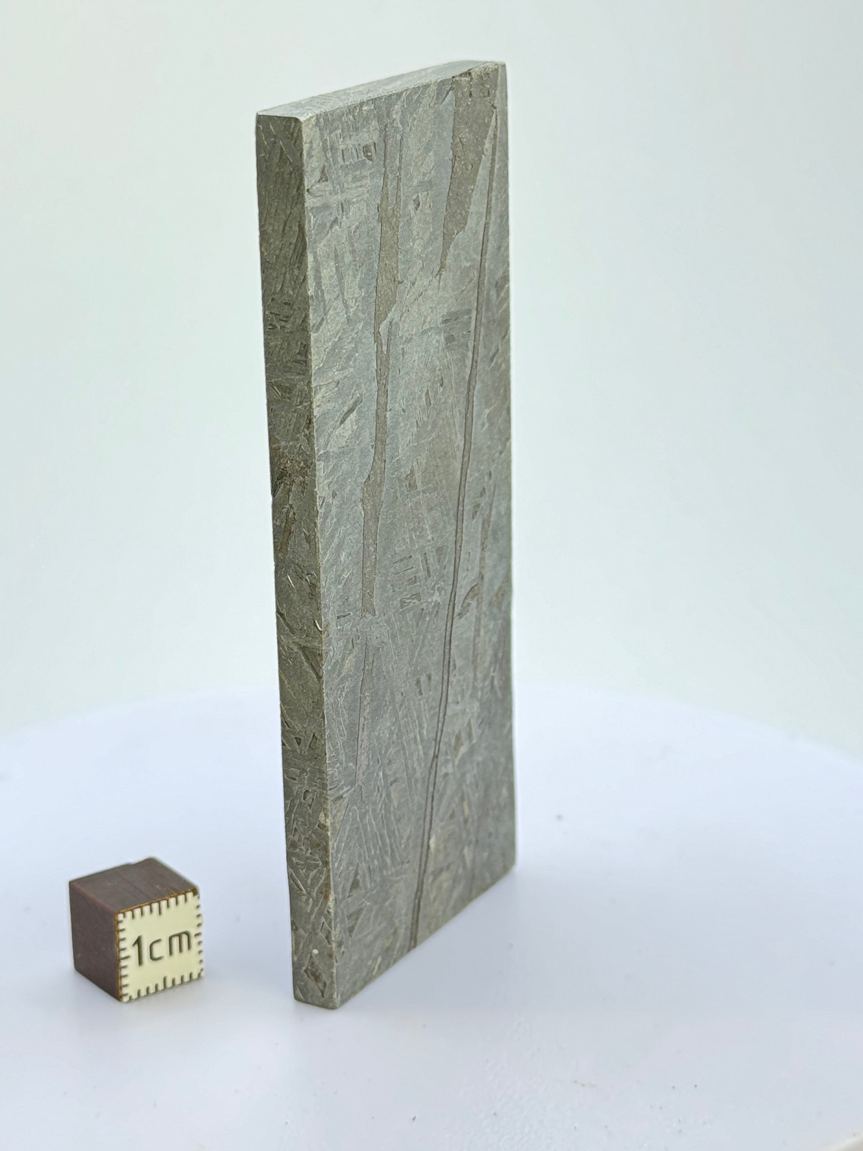 Aletai Meteorite, Gobi Desert, China. 136 grams.