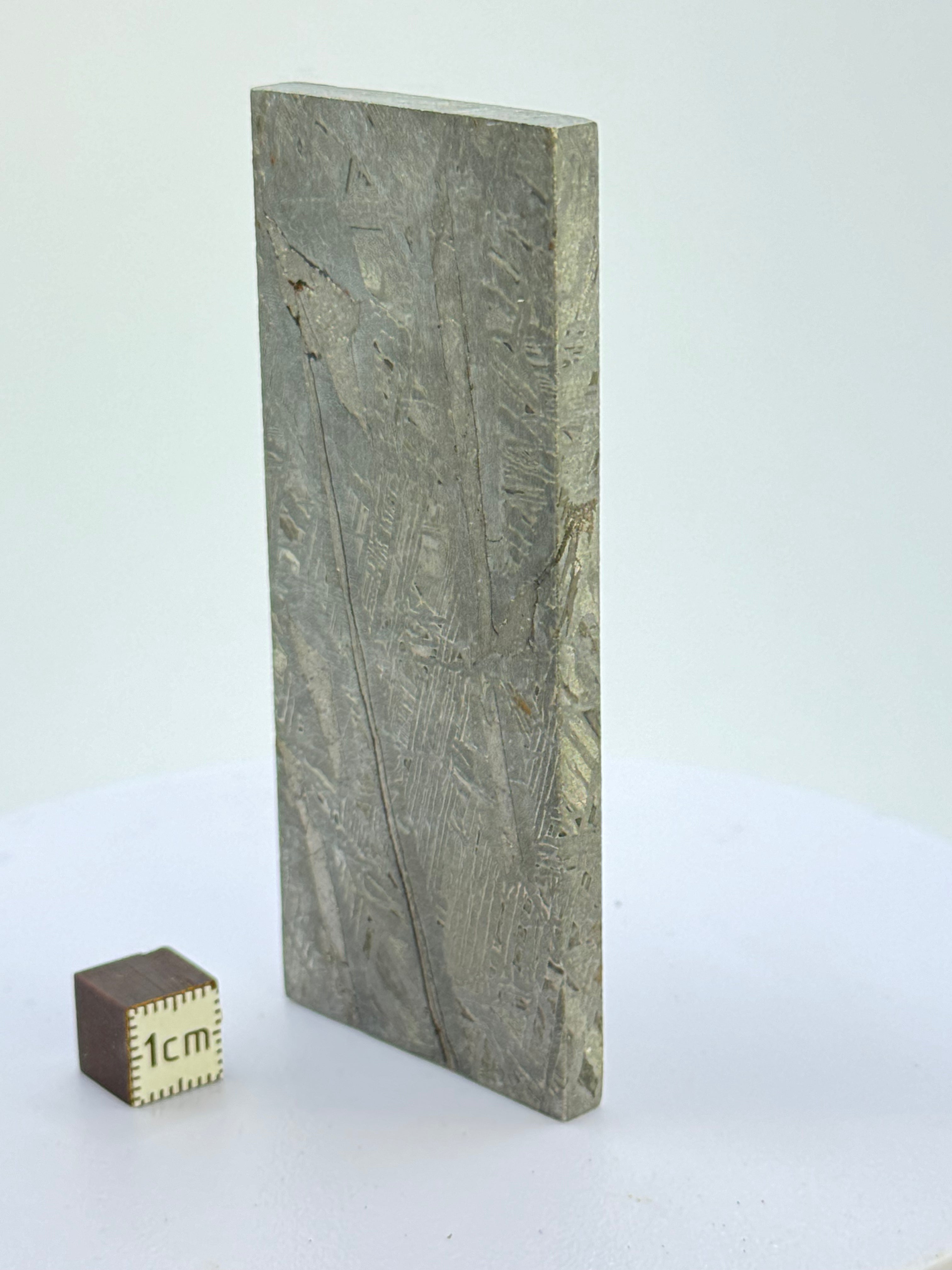 Aletai Meteorite, Gobi Desert, China. 136 grams.