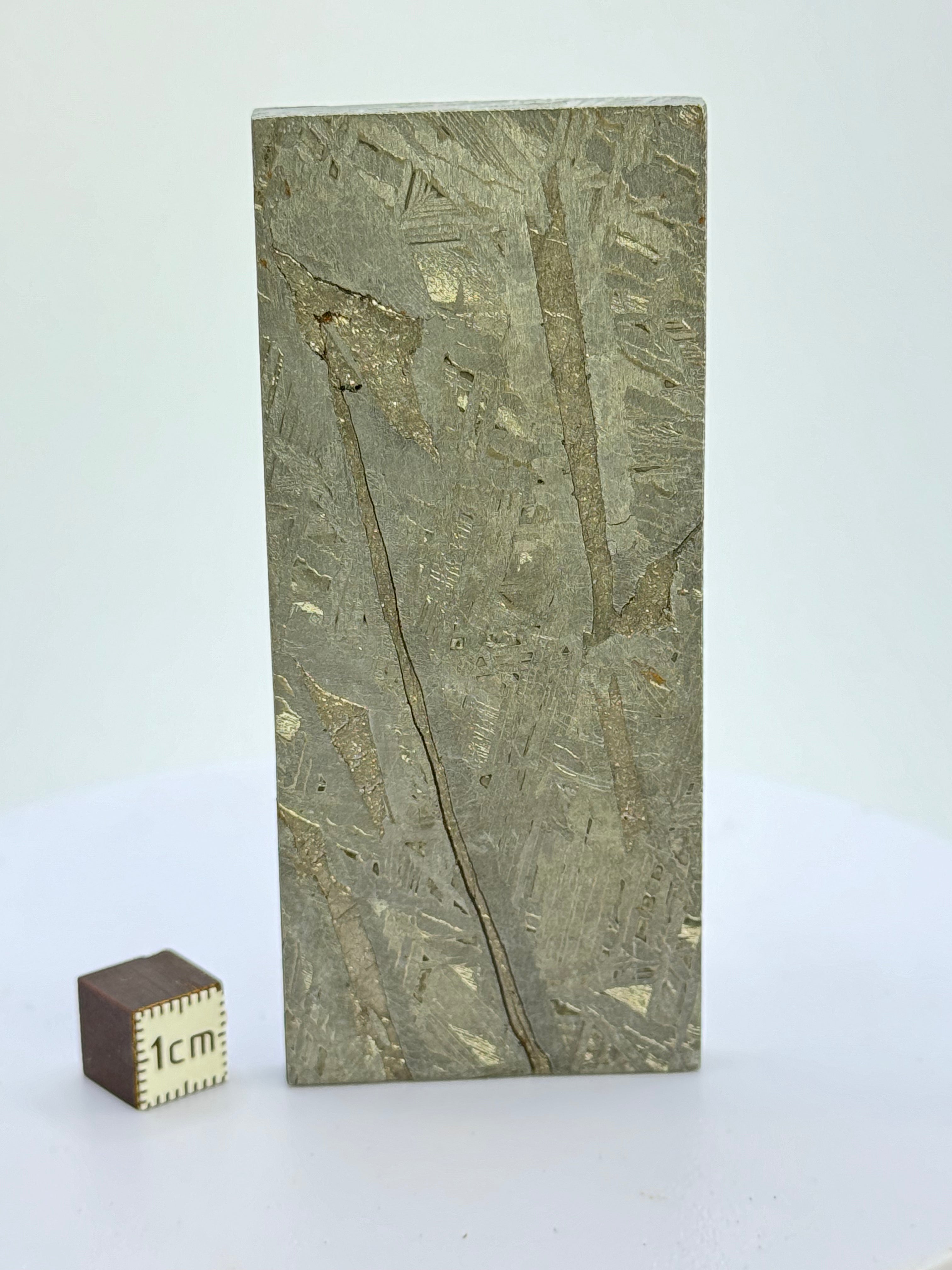 Aletai Meteorite, Gobi Desert, China. 136 grams.