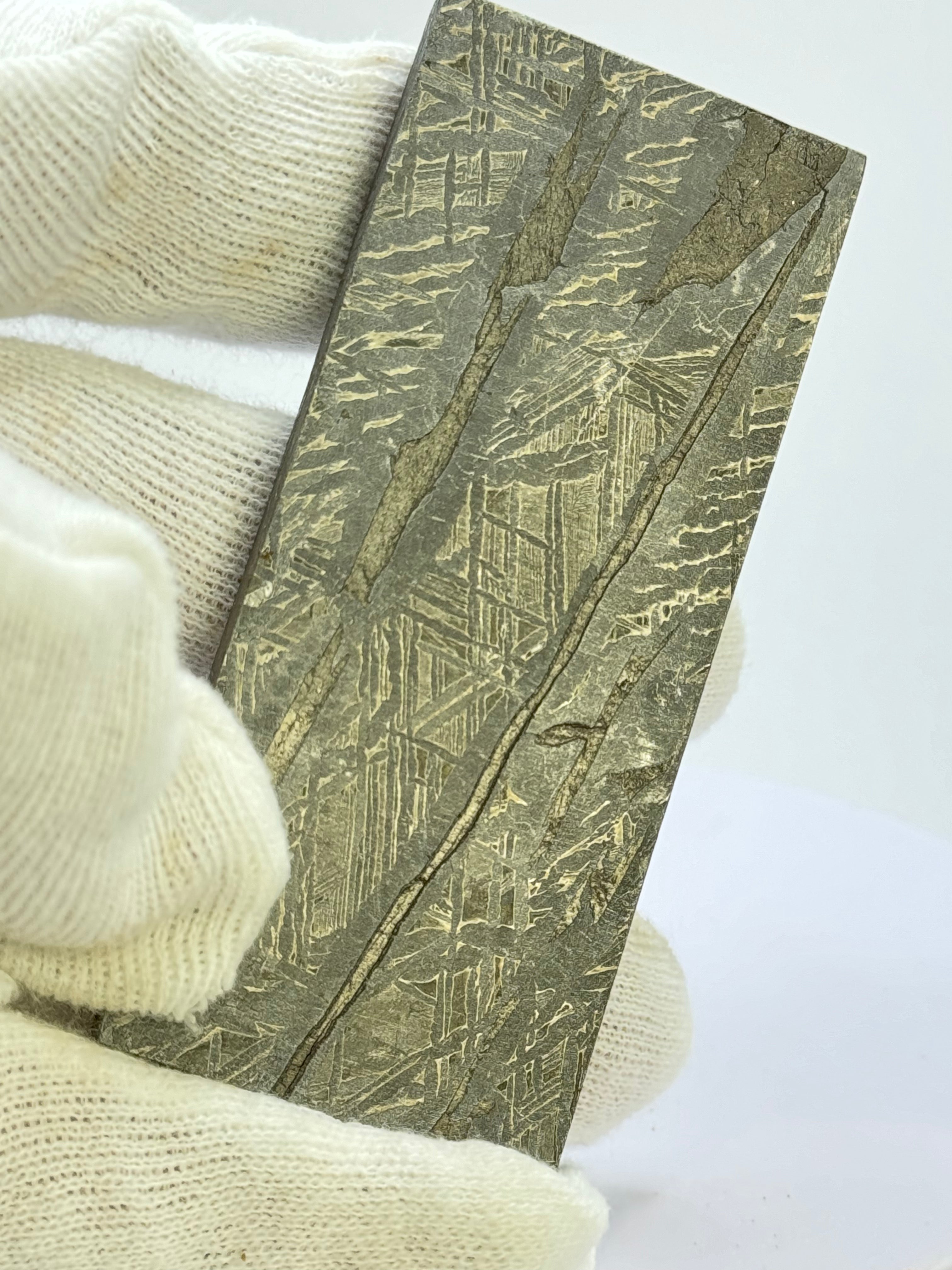 Aletai Meteorite, Gobi Desert, China. 136 grams.