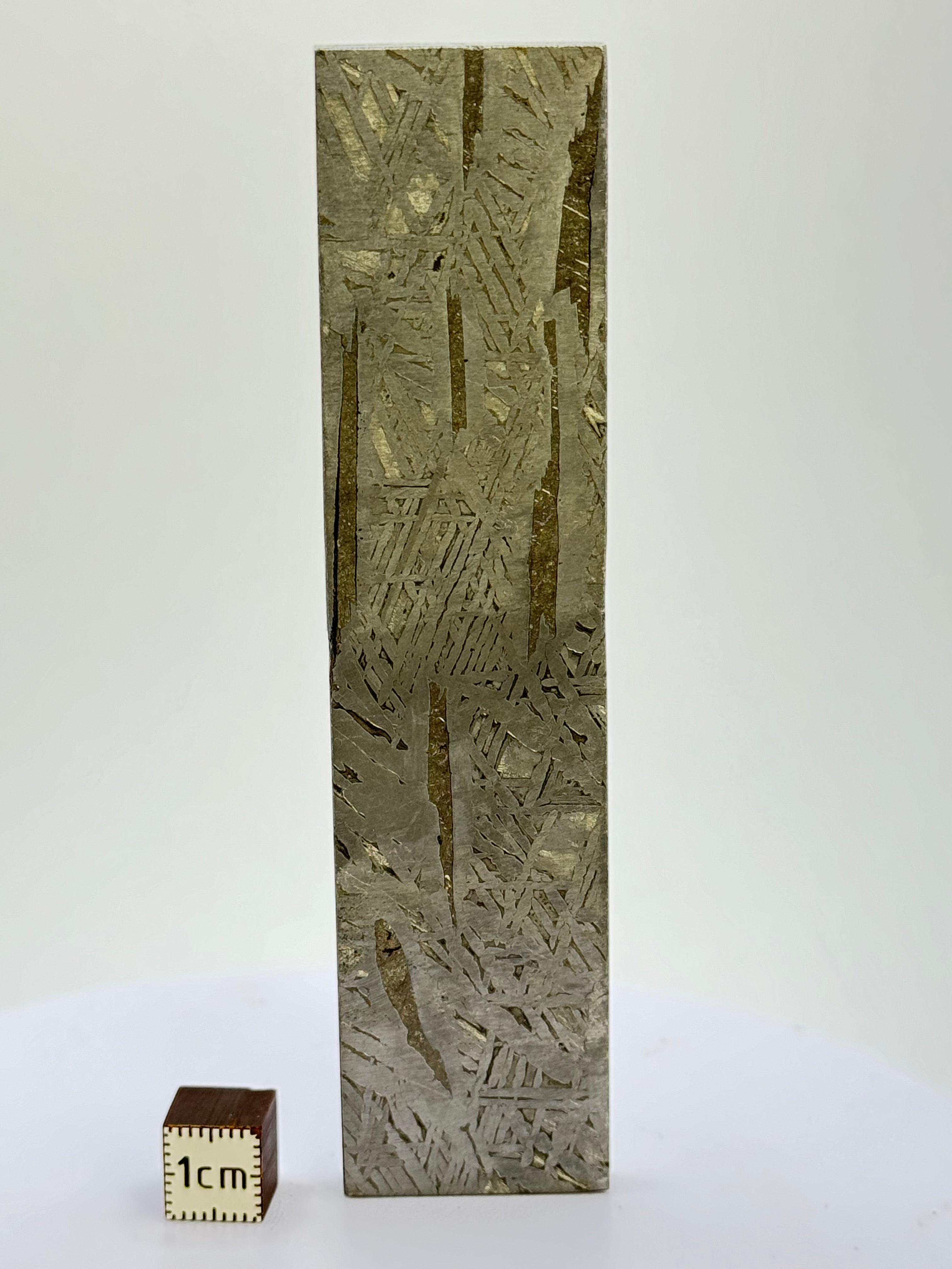 Aletai Meteorite, Gobi Desert, China. 122 grams.