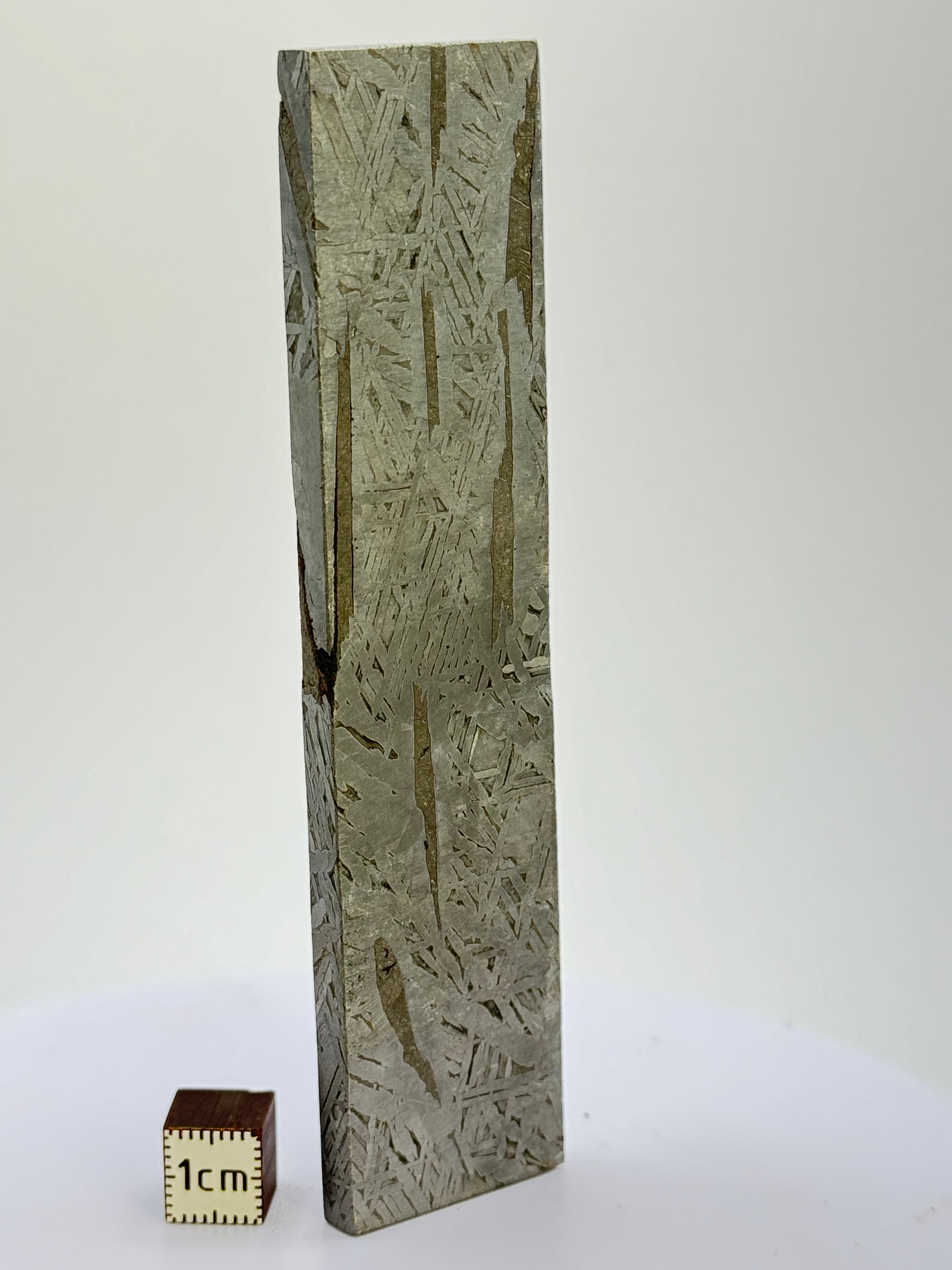 Aletai Meteorite, Gobi Desert, China. 122 grams.