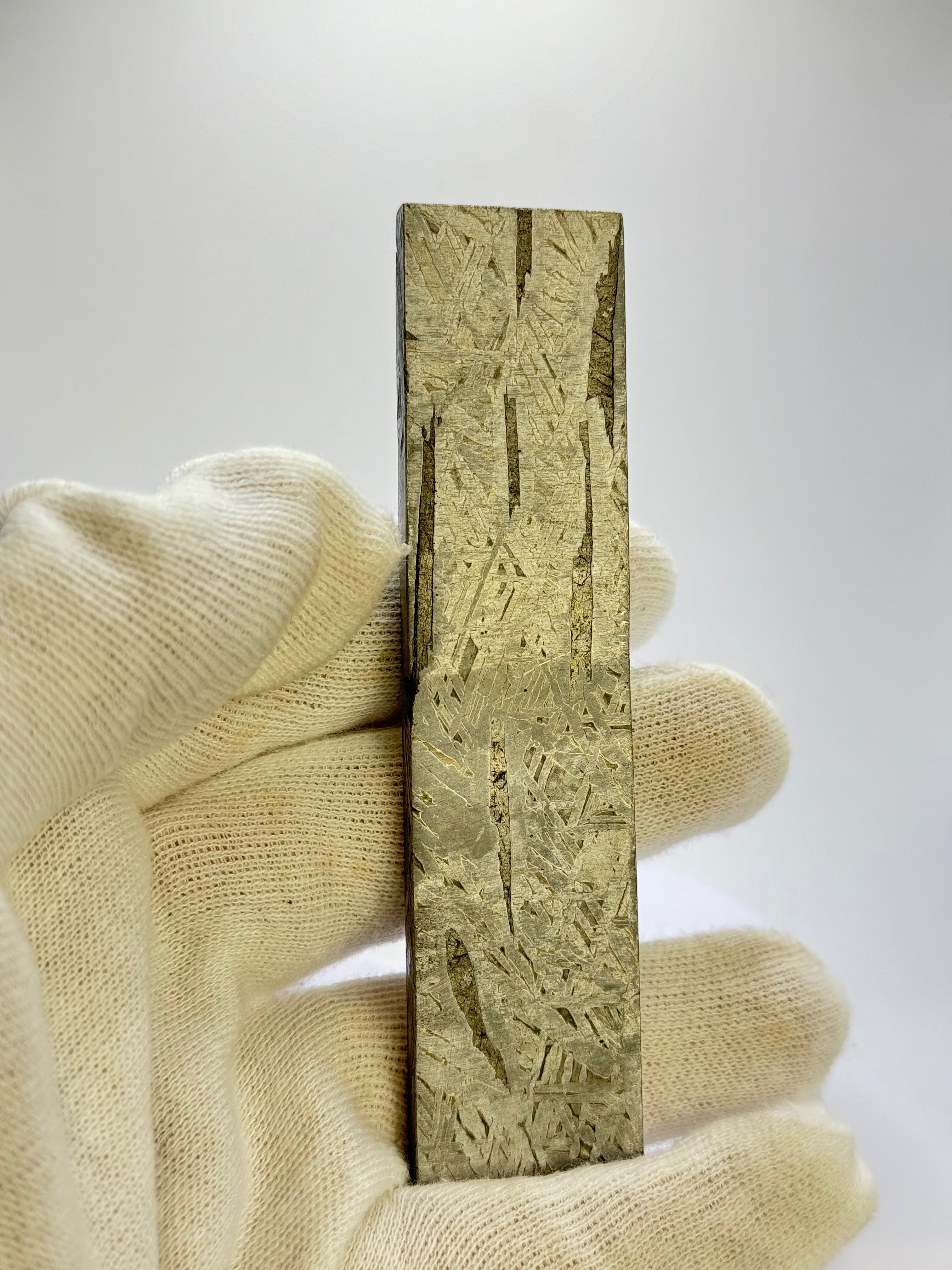 Aletai Meteorite, Gobi Desert, China. 122 grams.