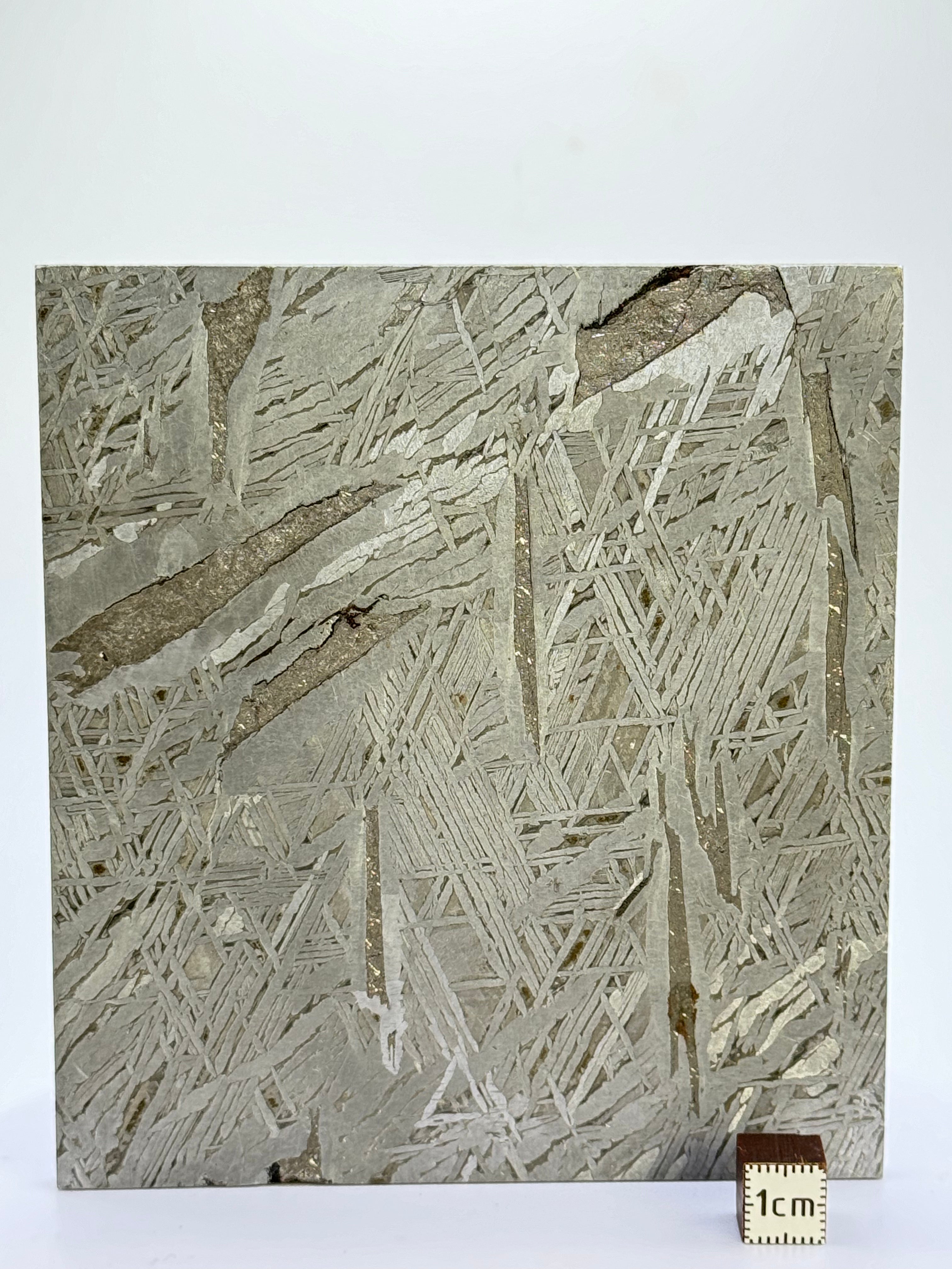 Aletai Meteorite, Gobi Desert, China. 410 grams