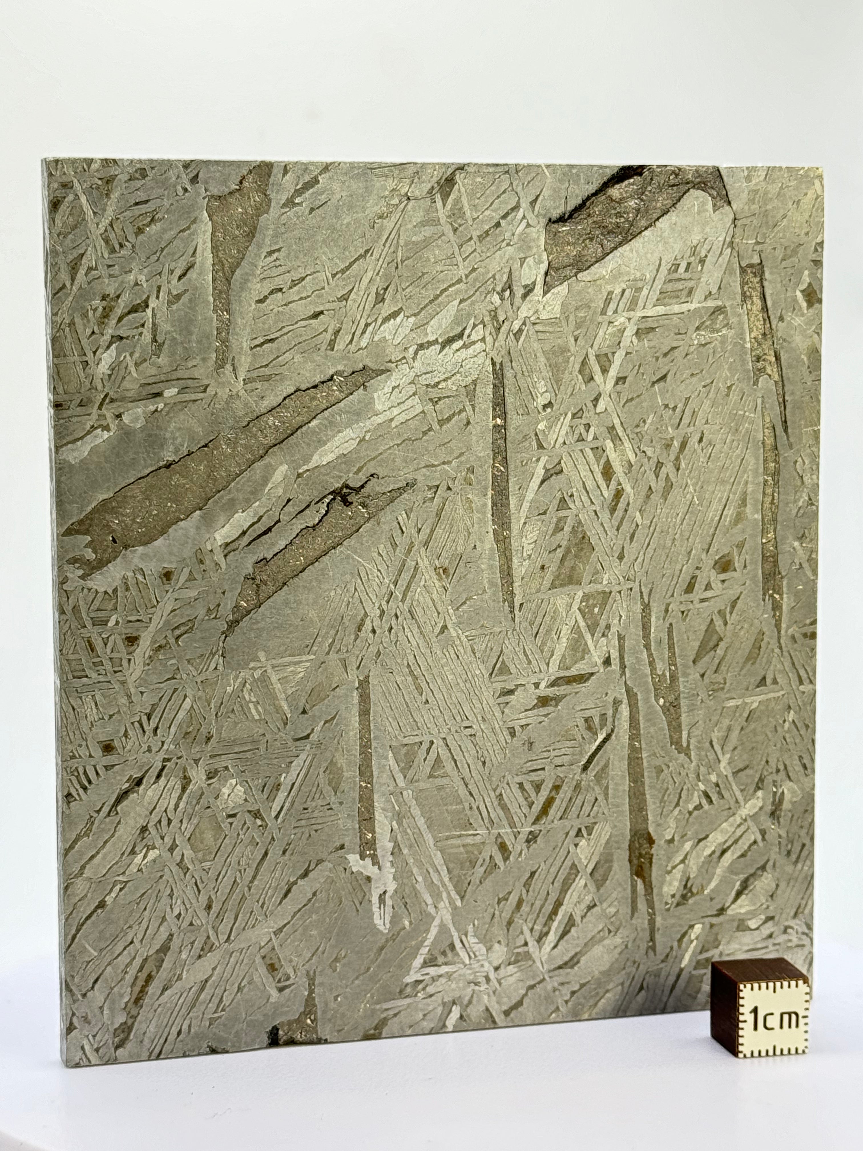 Aletai Meteorite, Gobi Desert, China. 410 grams