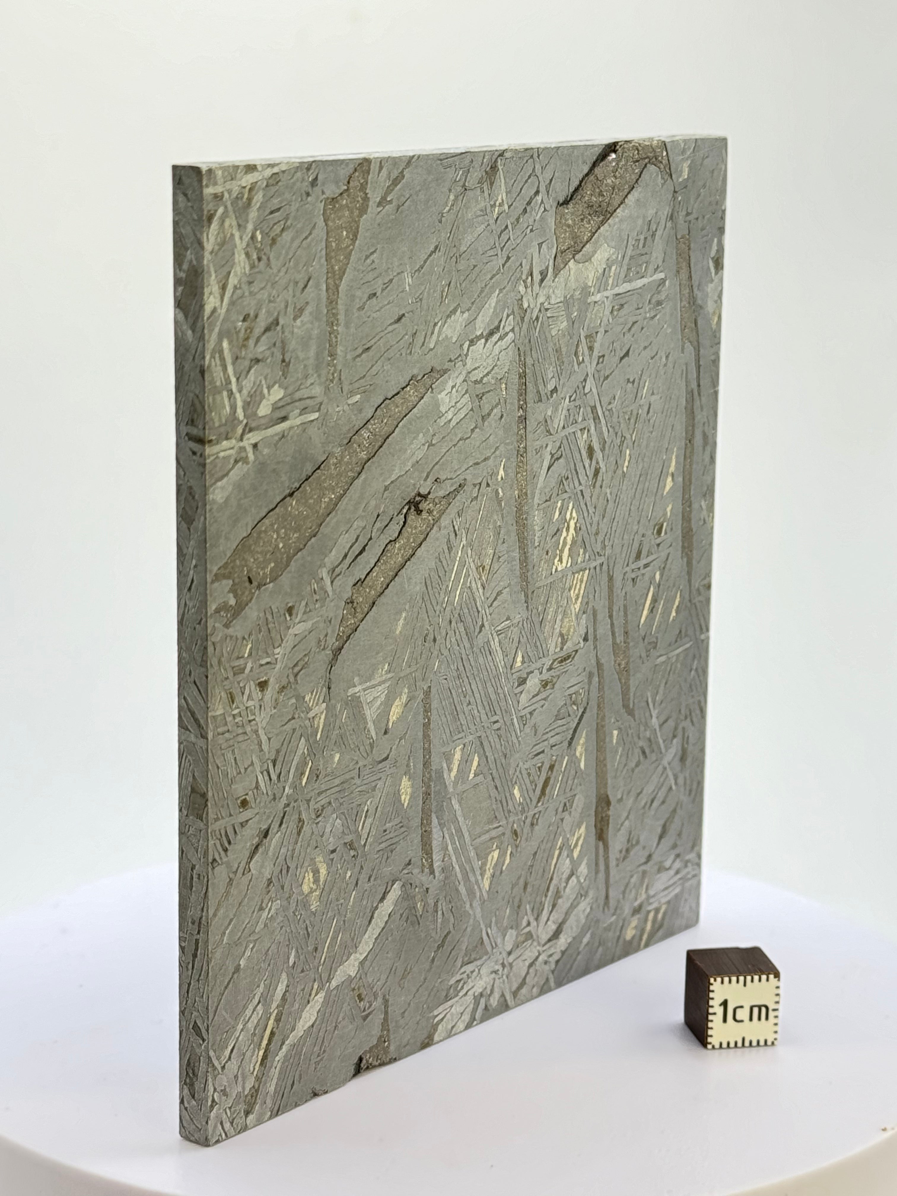 Aletai Meteorite, Gobi Desert, China. 410 grams