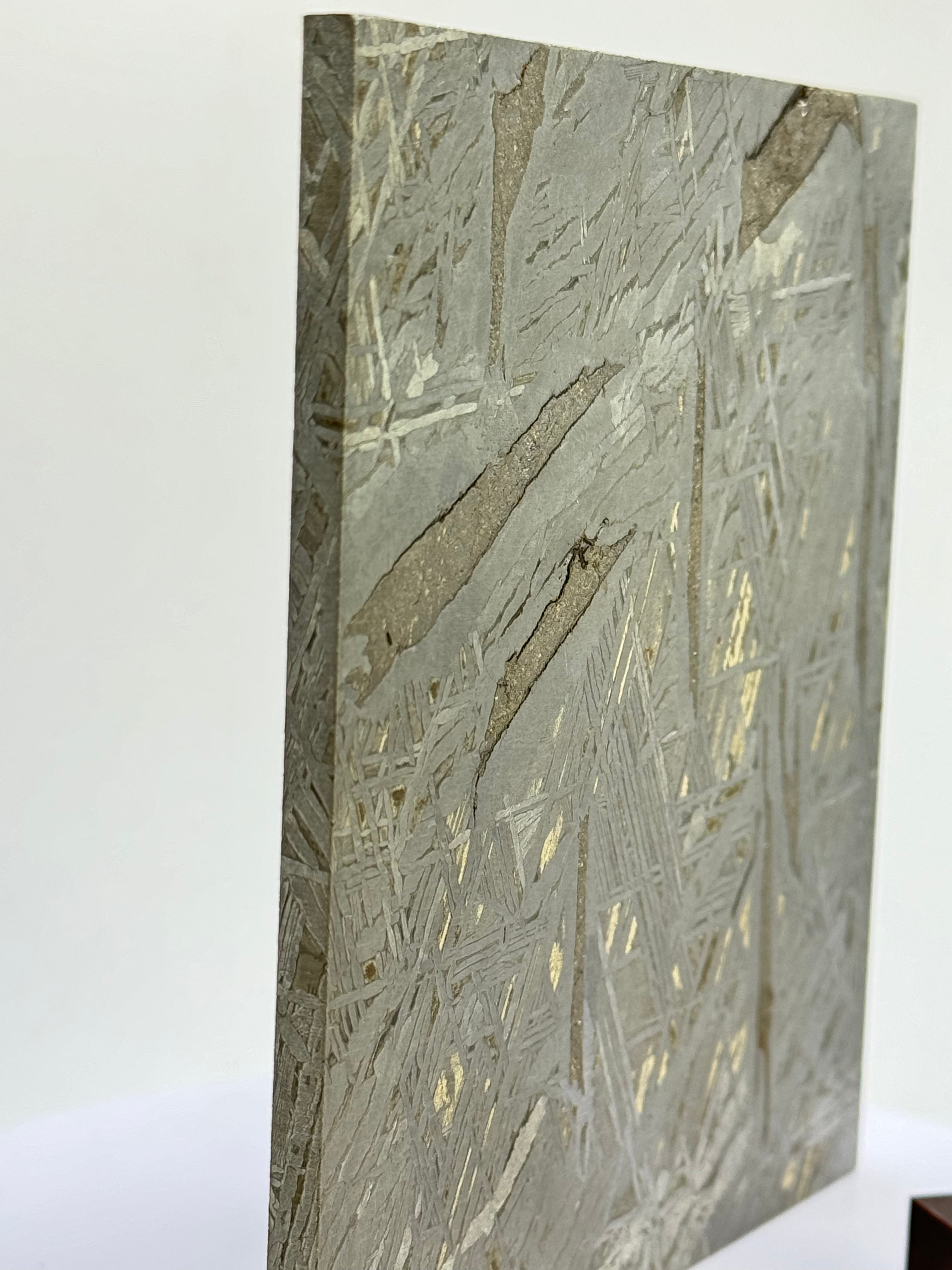 Aletai Meteorite, Gobi Desert, China. 410 grams