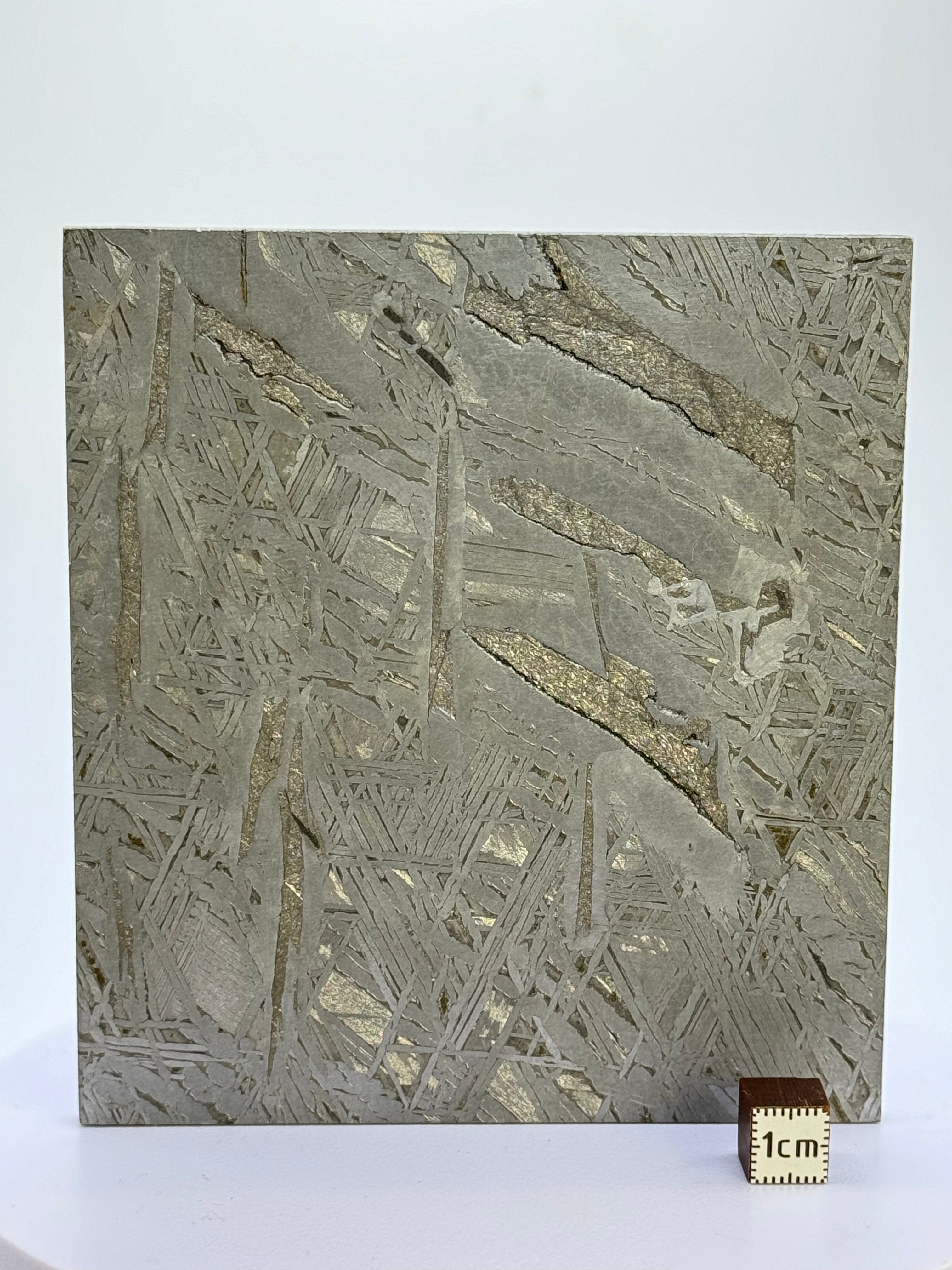 Aletai Meteorite, Gobi Desert, China. 410 grams