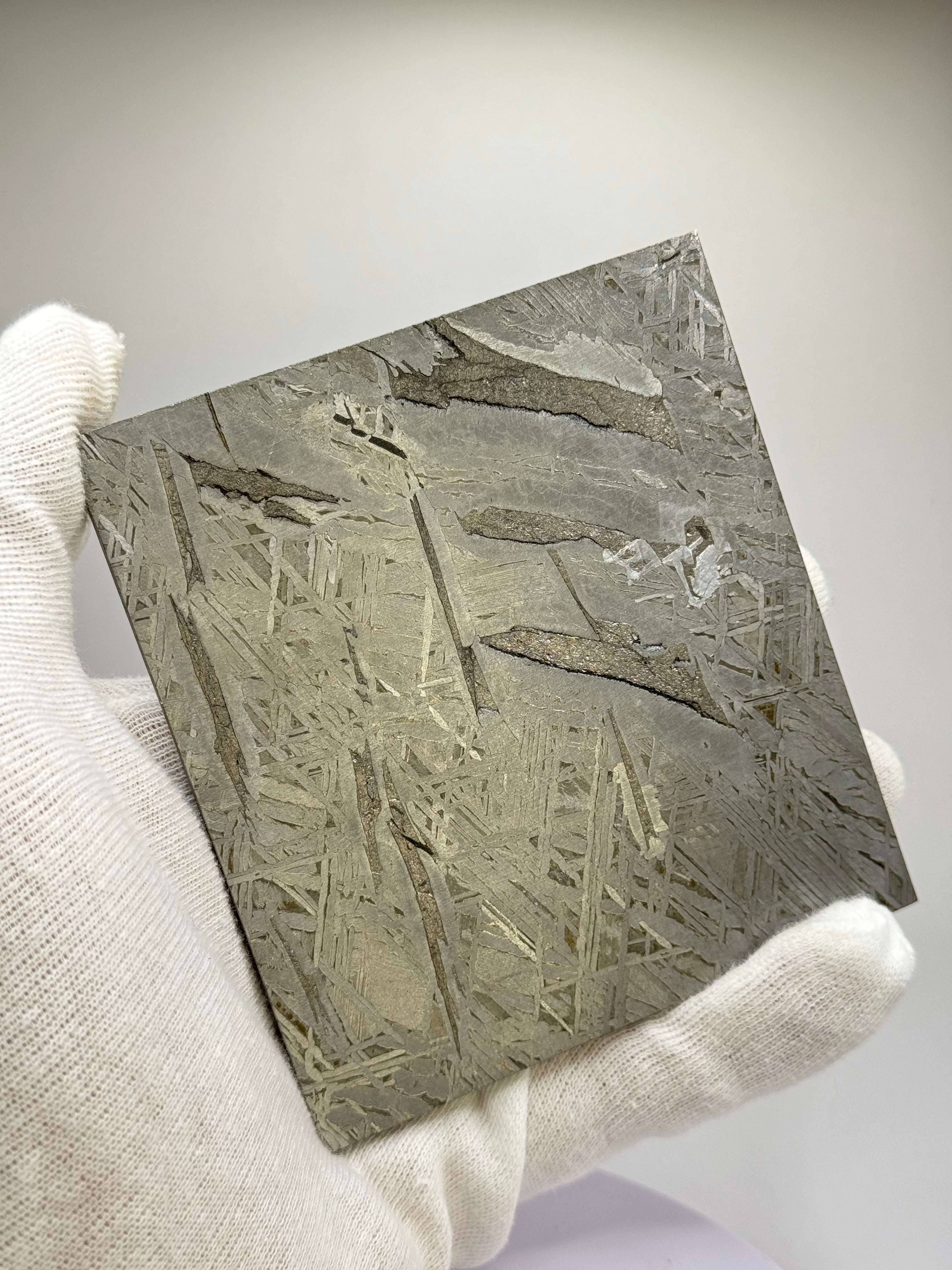 Aletai Meteorite, Gobi Desert, China. 410 grams