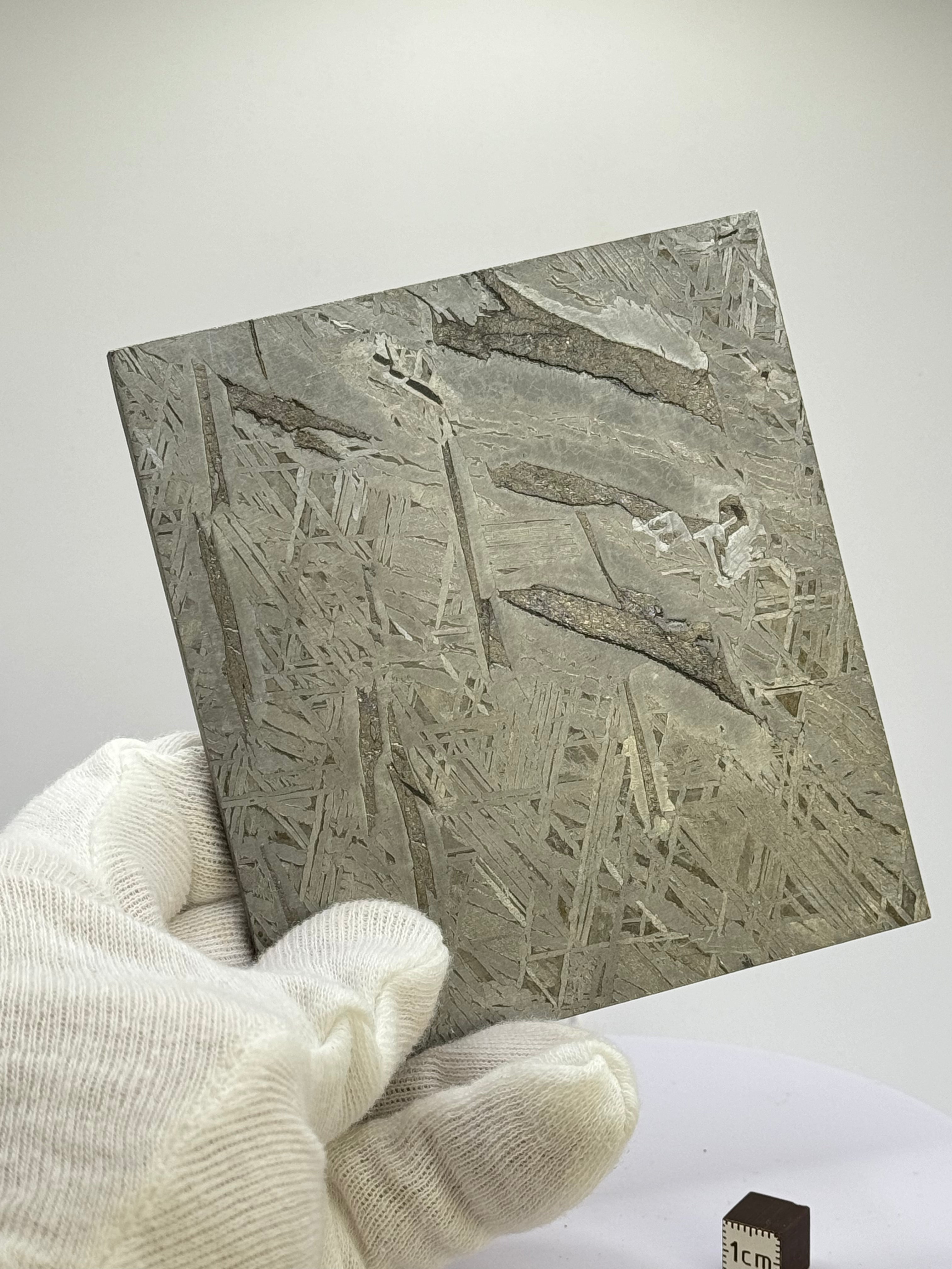 Aletai Meteorite, Gobi Desert, China. 410 grams