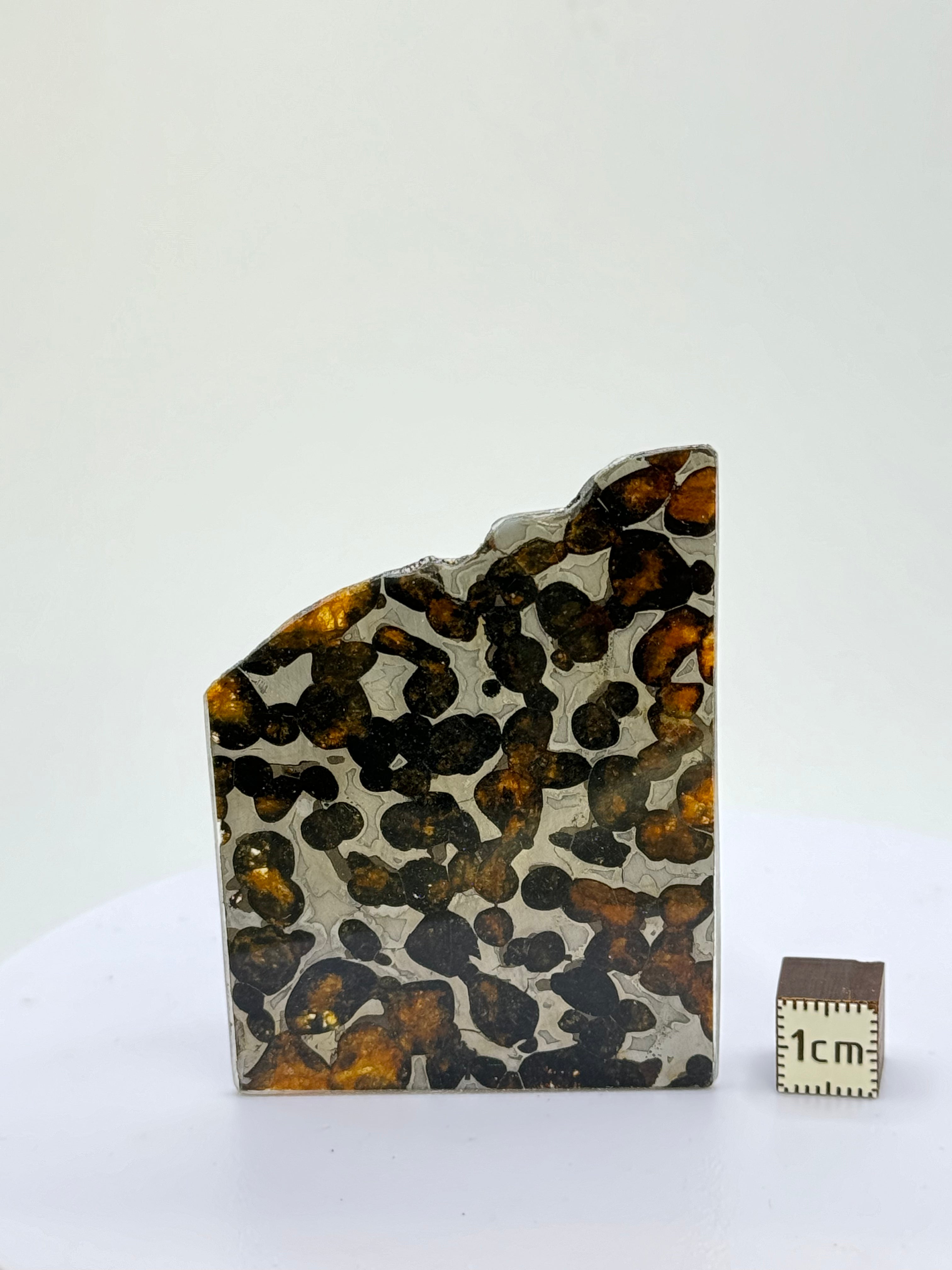 Sericho meteorite, Kenya. 17,74 grams.