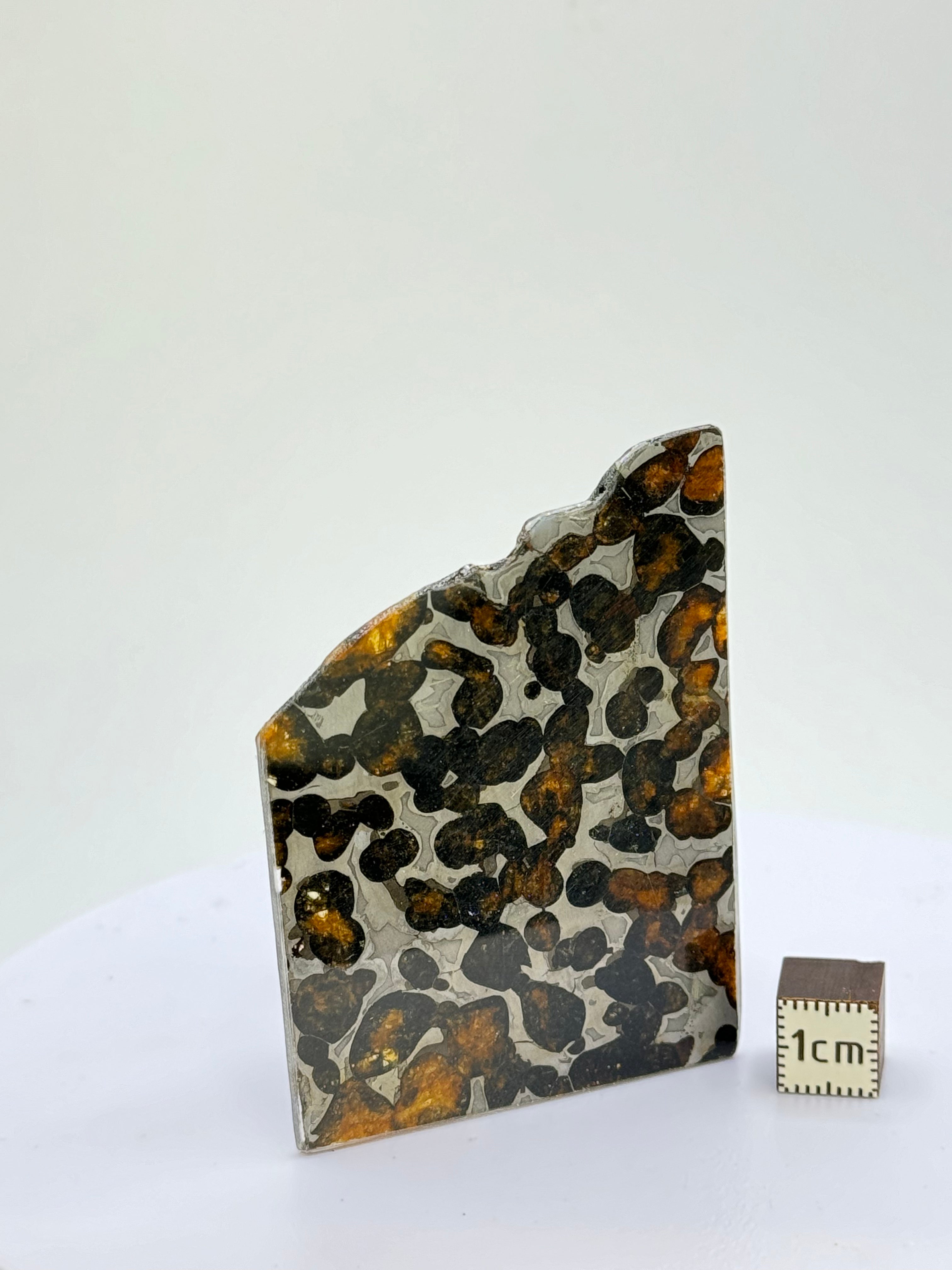 Sericho meteorite, Kenya. 17,74 grams.