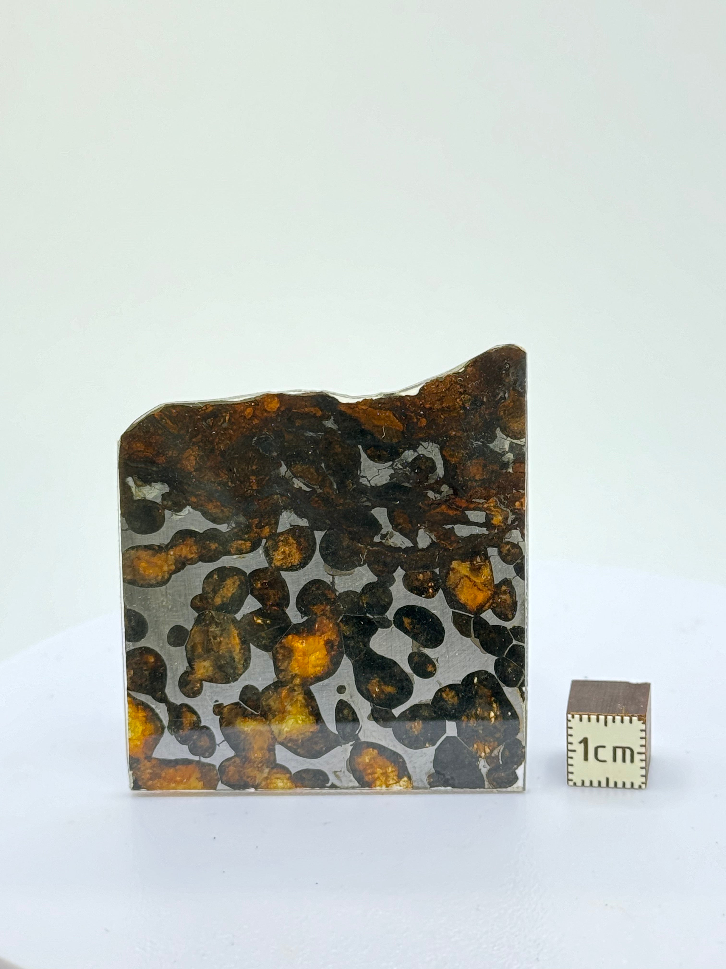Sericho meteorite, Kenya. 14,26 grams.