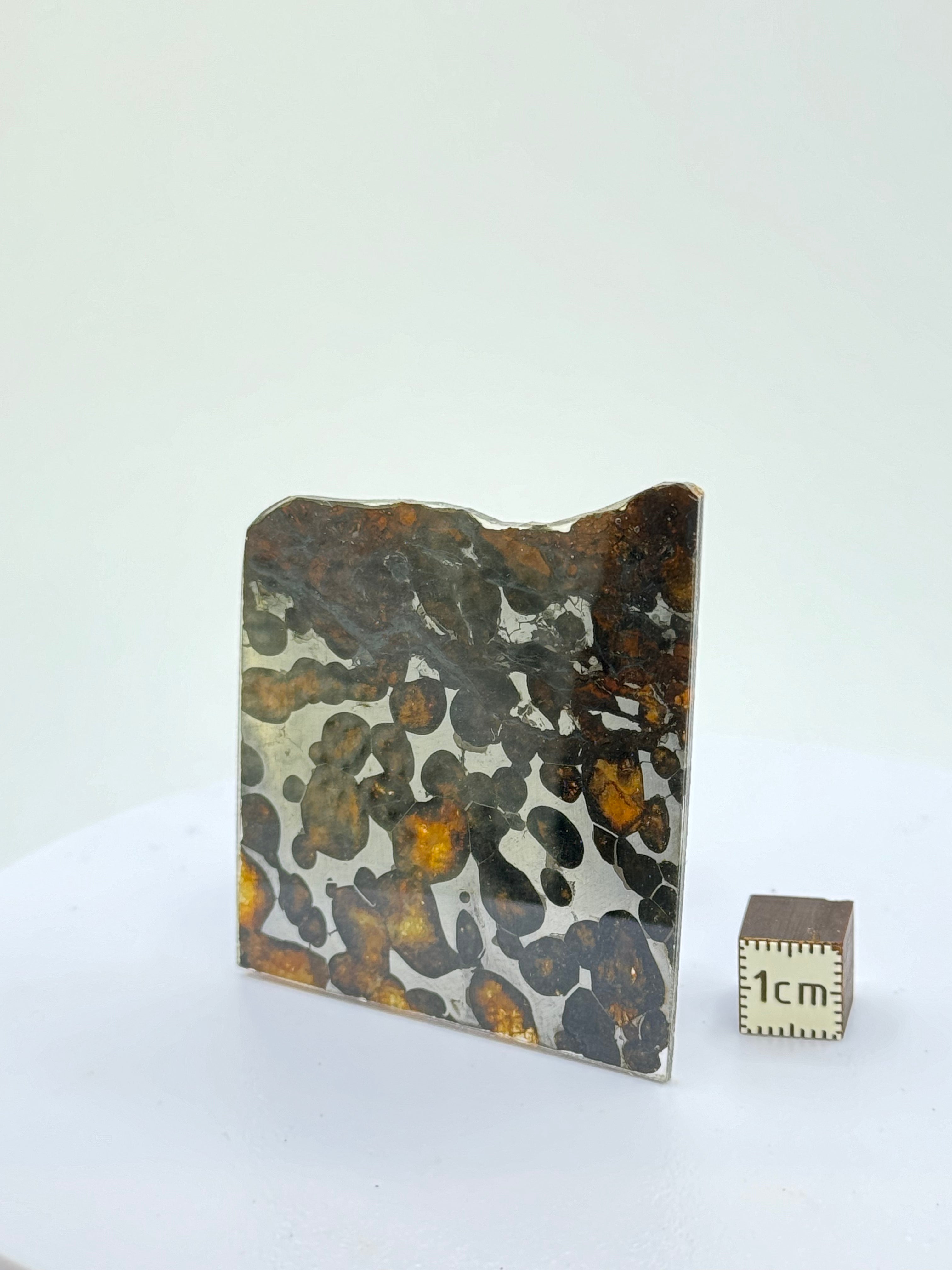Sericho meteorite, Kenya. 14,26 grams.
