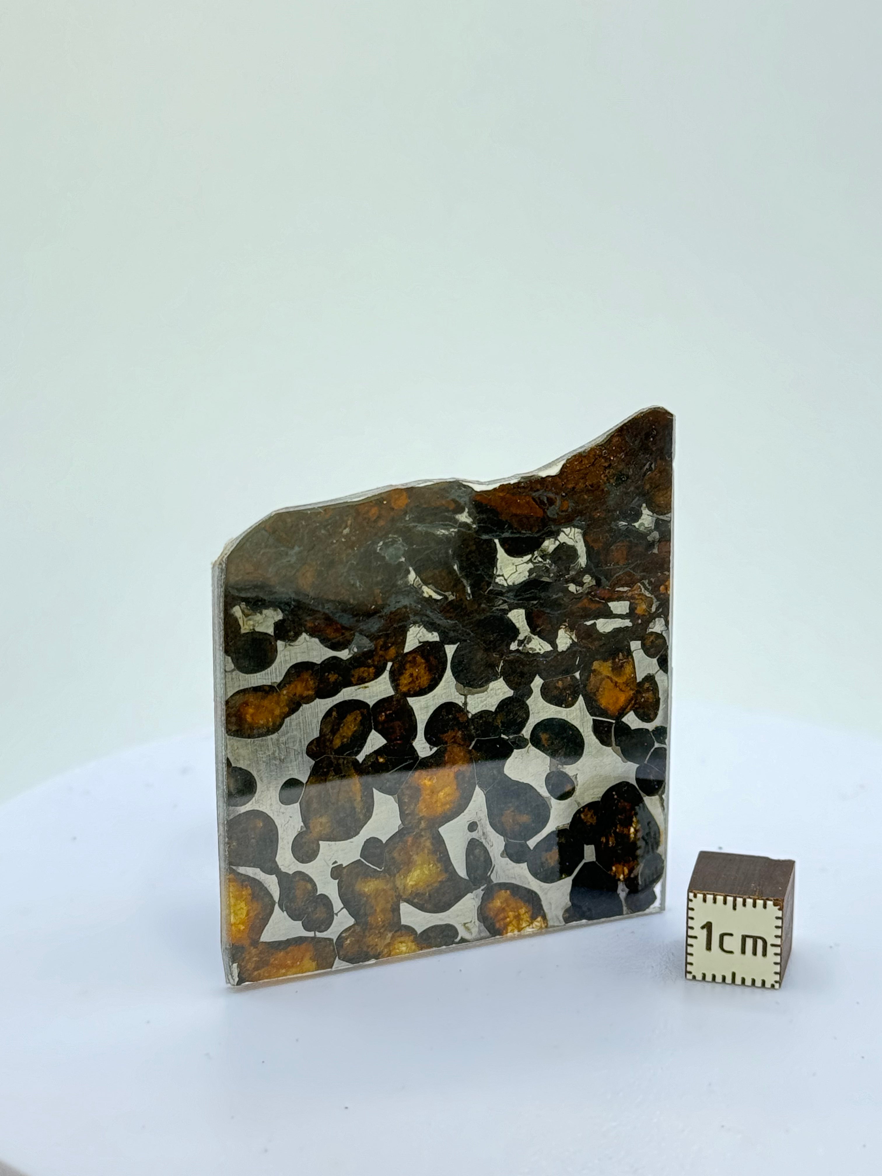 Sericho meteorite, Kenya. 14,26 grams.