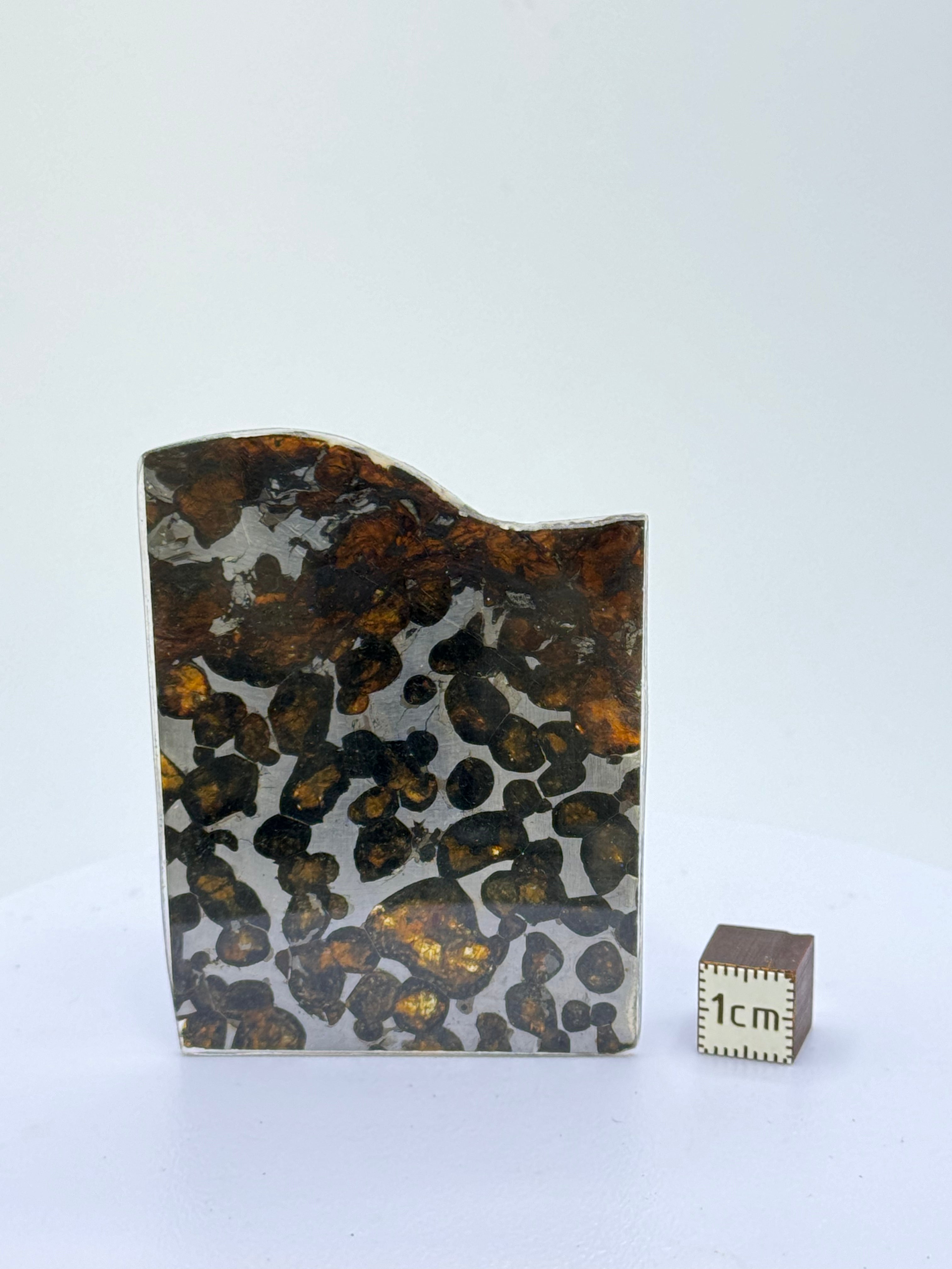 Sericho meteorite, Kenya. 13,09 grams.