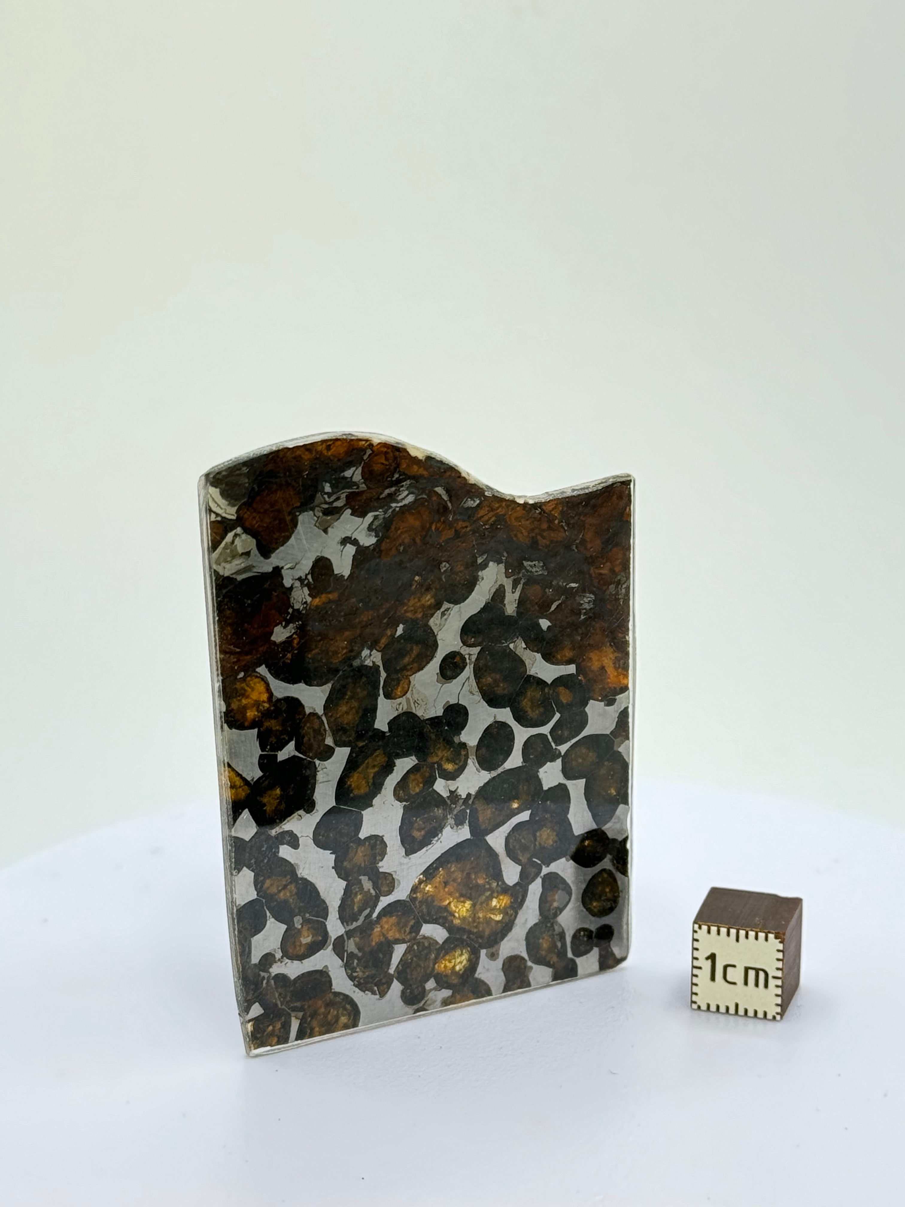 Sericho meteorite, Kenya. 13,09 grams.