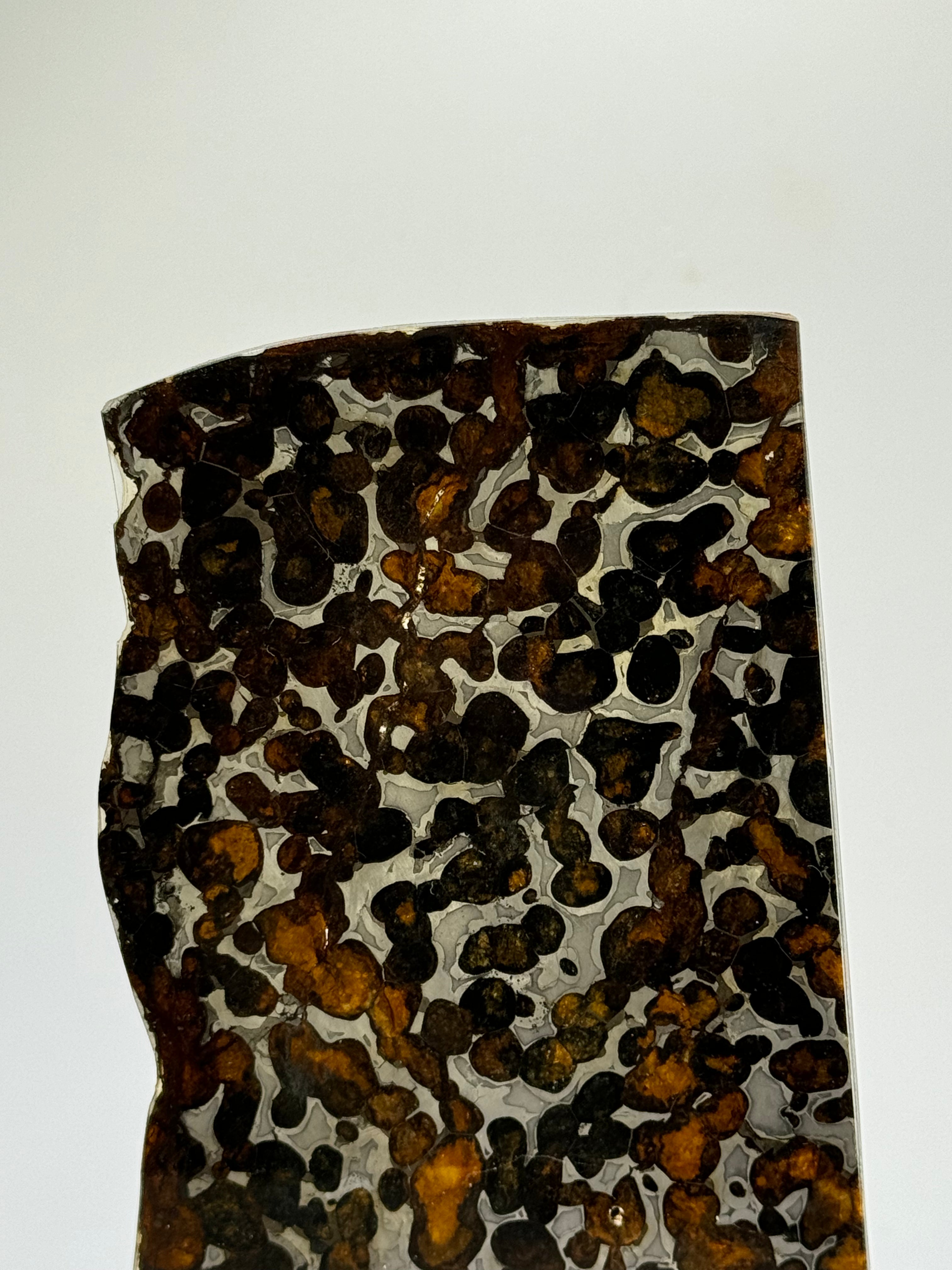 Sericho meteorite, Kenya. 59,46 grams.