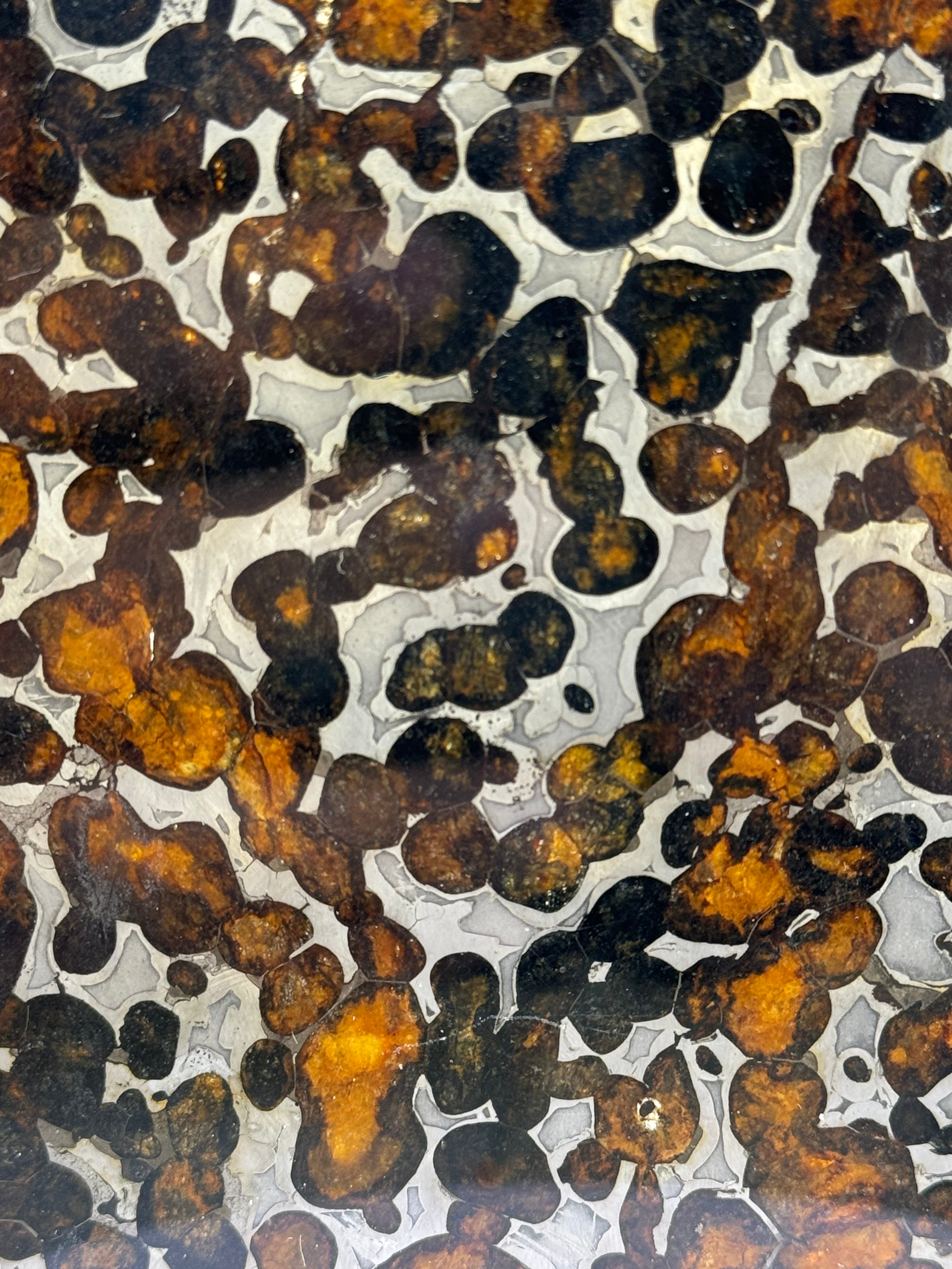 Sericho meteorite, Kenya. 59,46 grams.