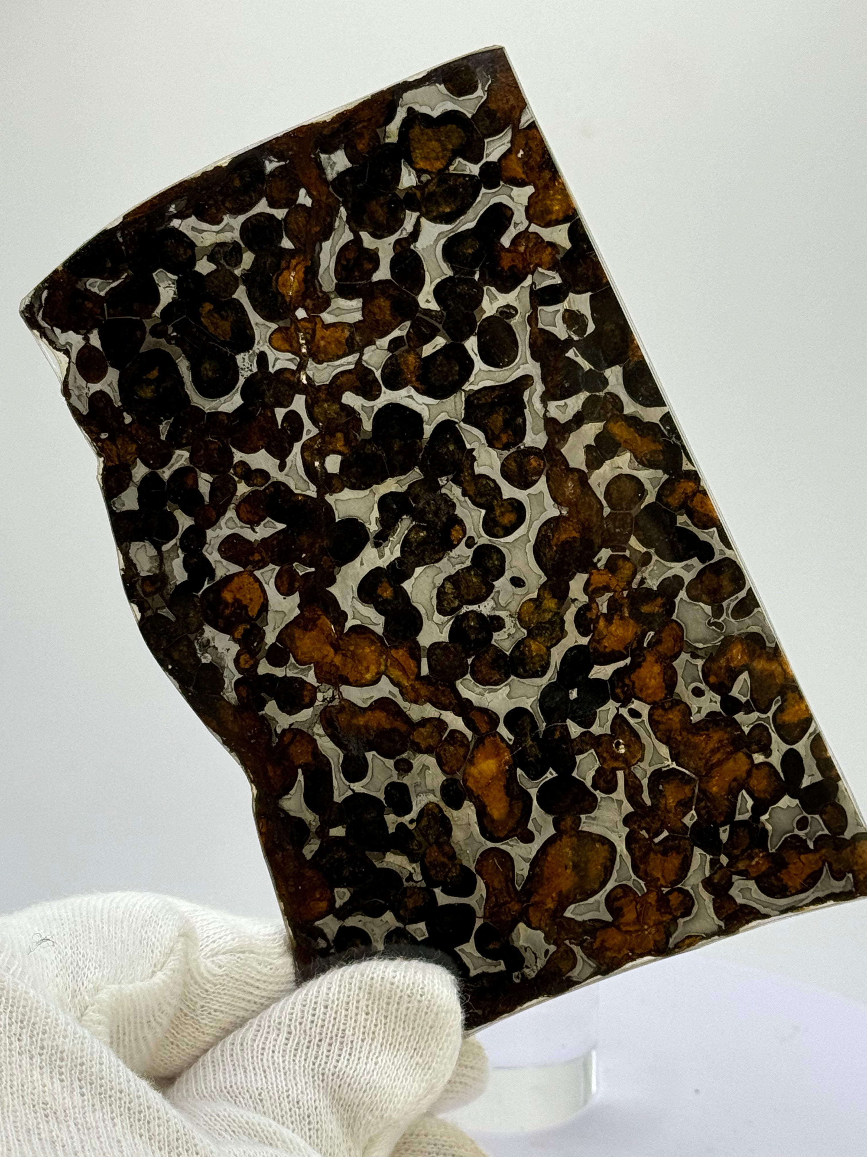 Sericho meteorite, Kenya. 59,46 grams.