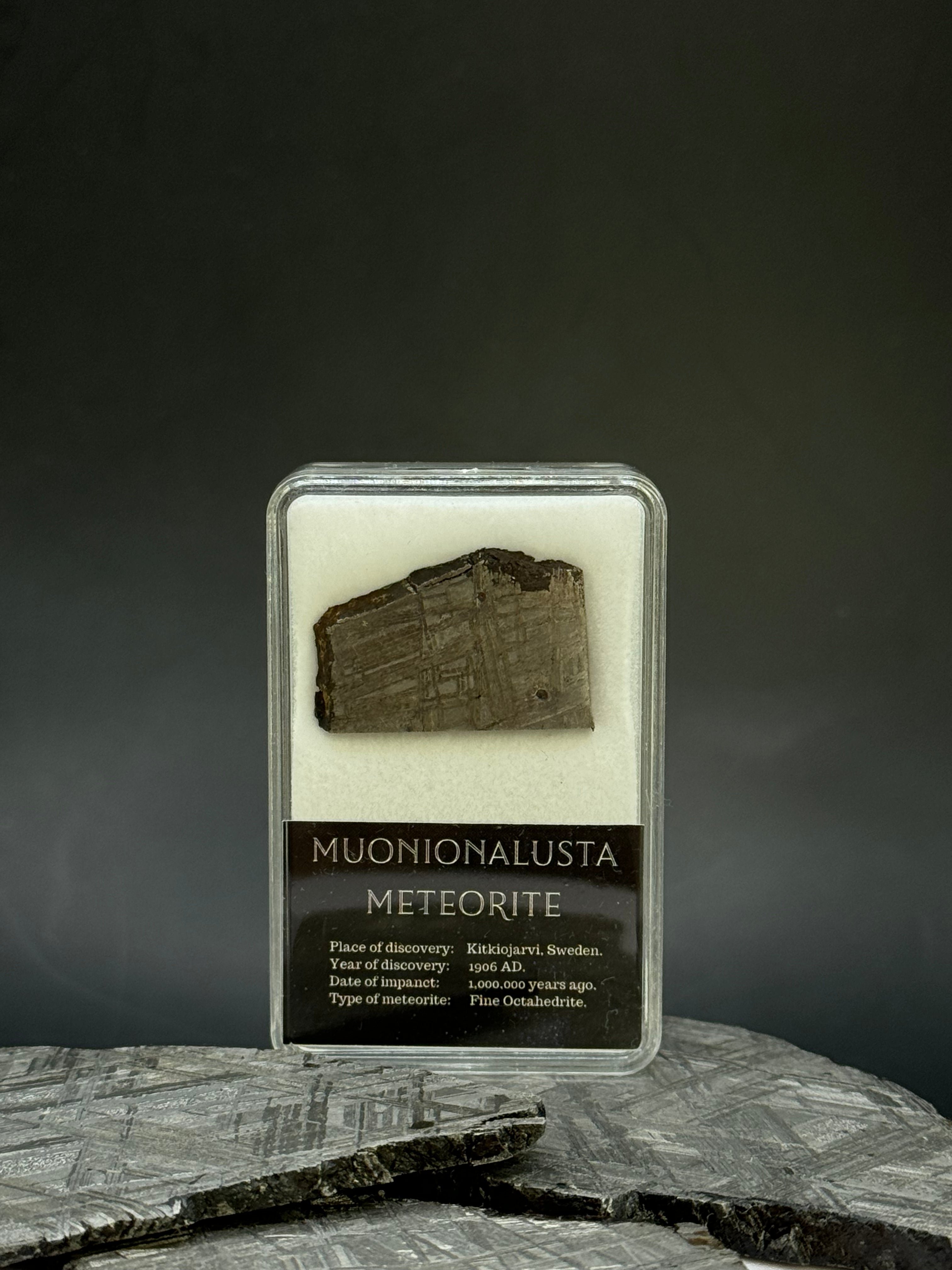 Muonionalusta meteorite in display box. 7,44 grams.