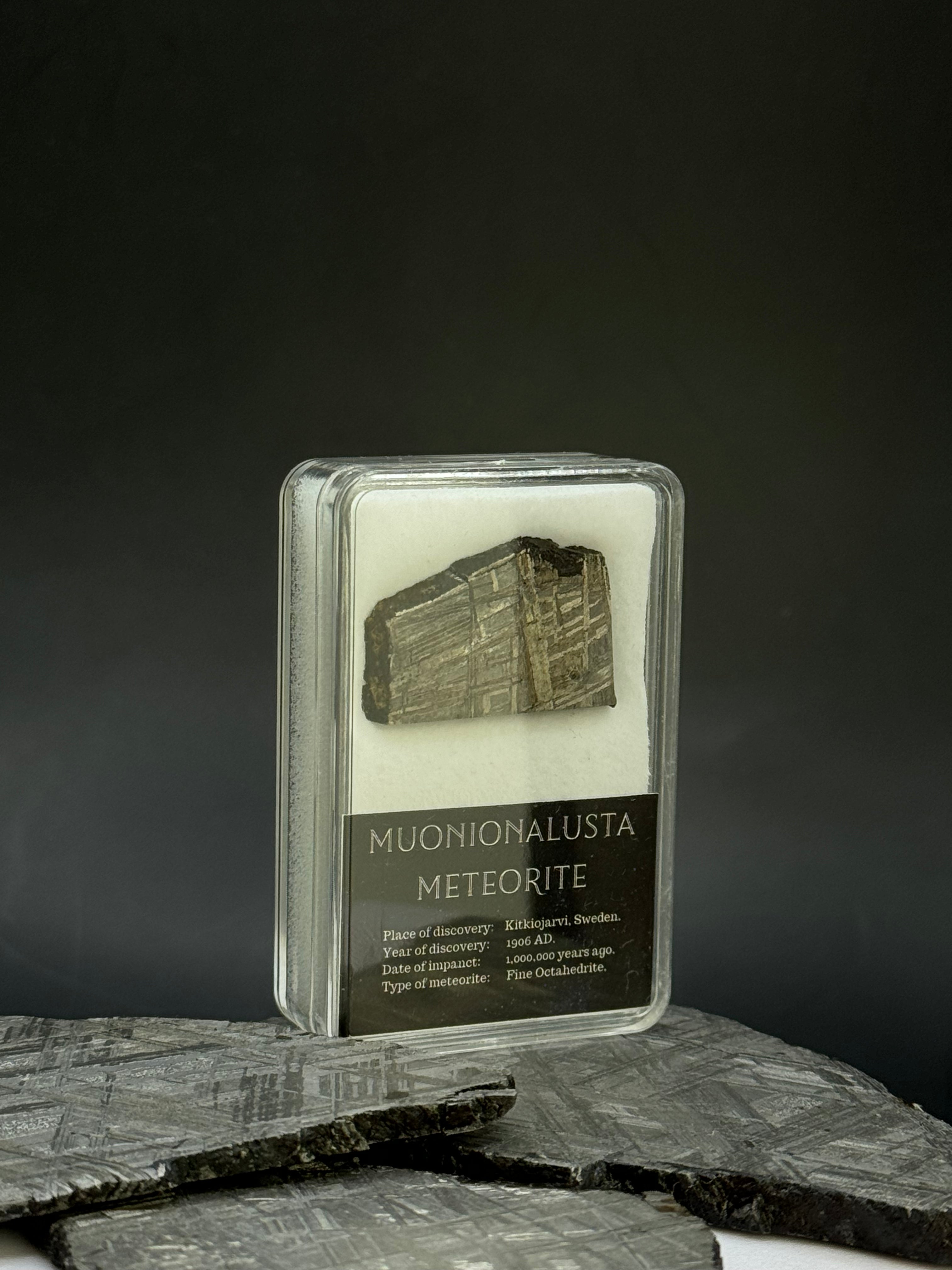 Muonionalusta meteorite in display box. 7,44 grams.