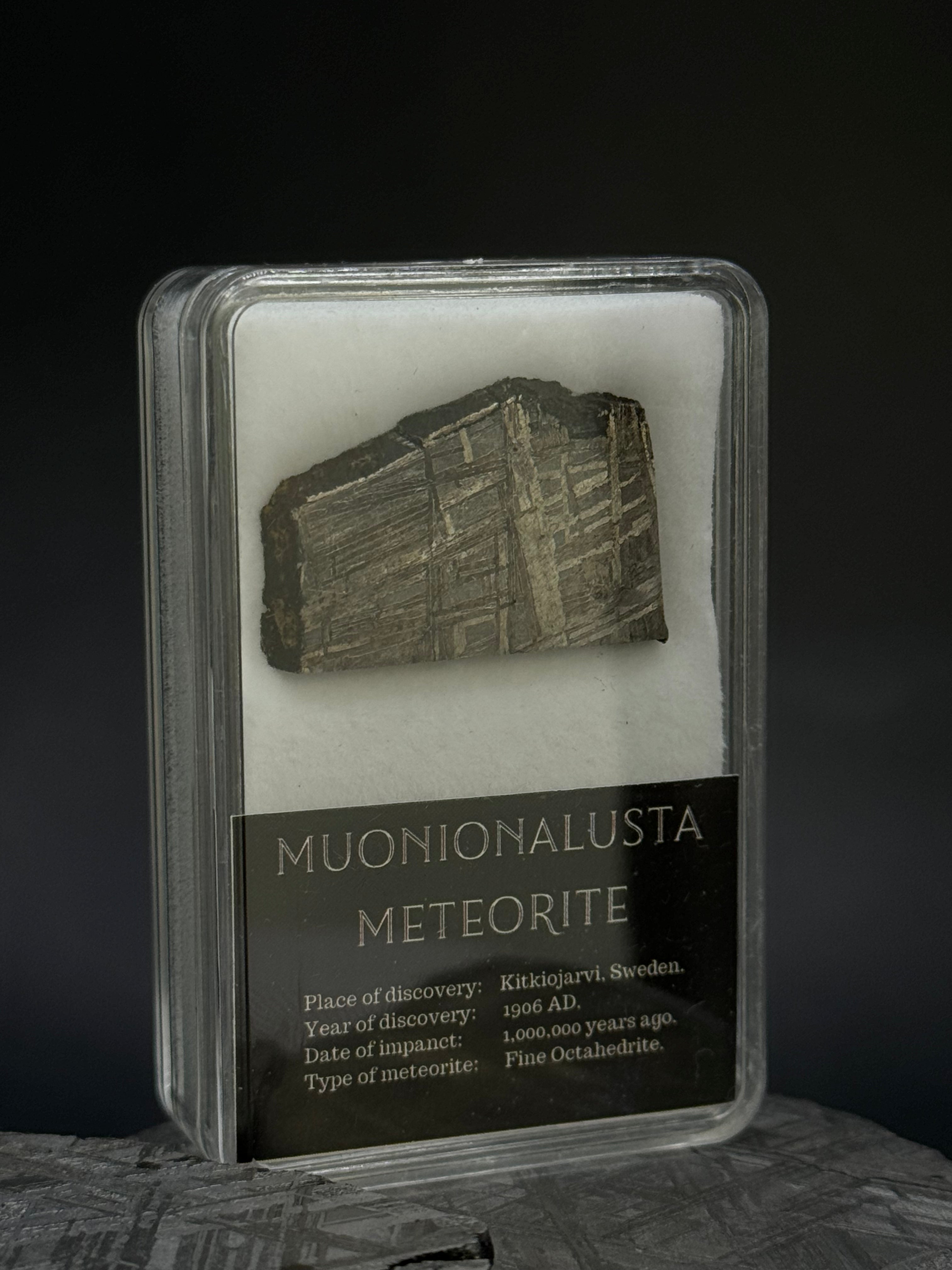 Muonionalusta meteorite in display box. 7,44 grams.