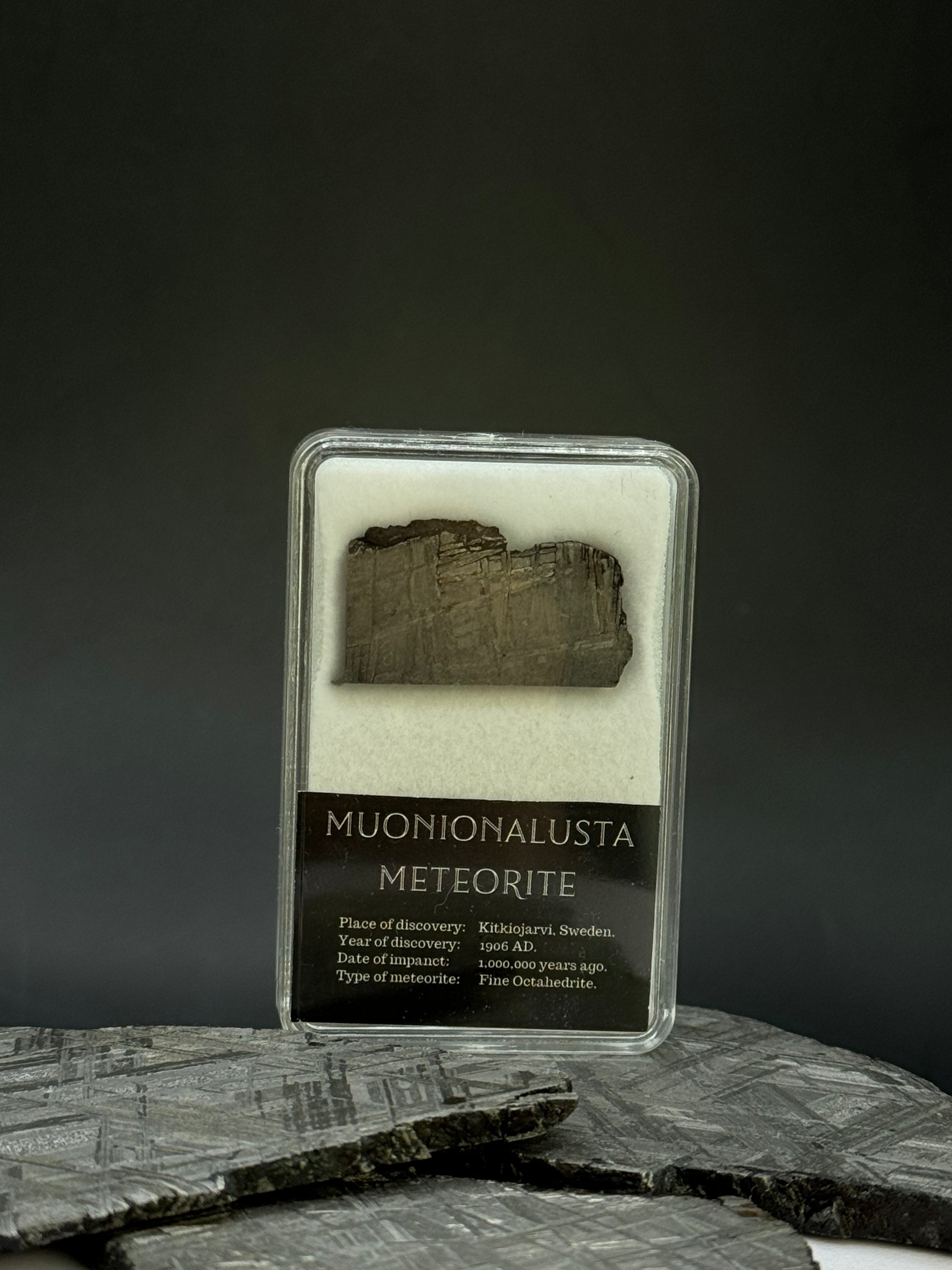Muonionalusta meteorite in display box. 7,55 grams
