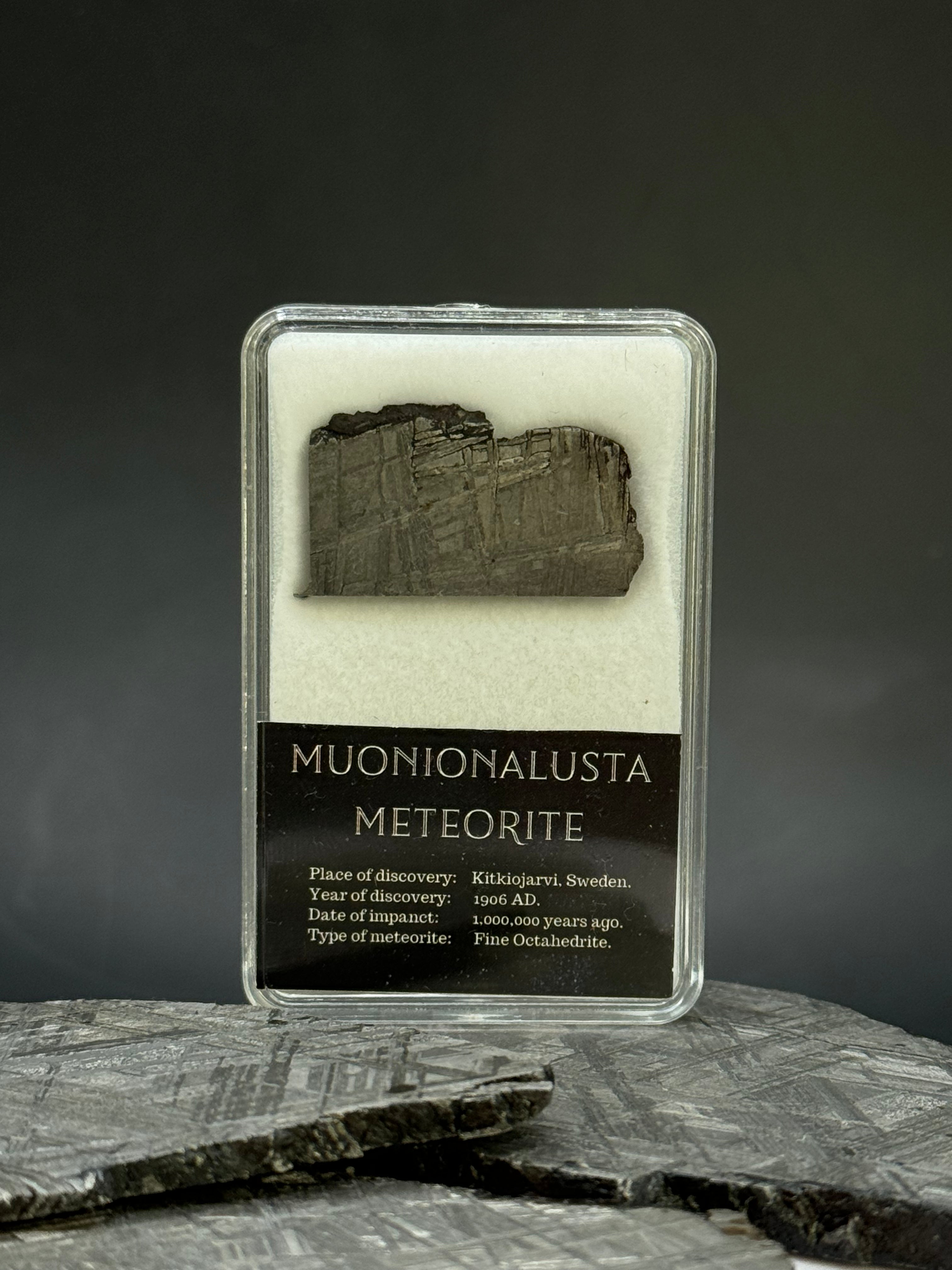 Muonionalusta meteorite in display box. 7,55 grams
