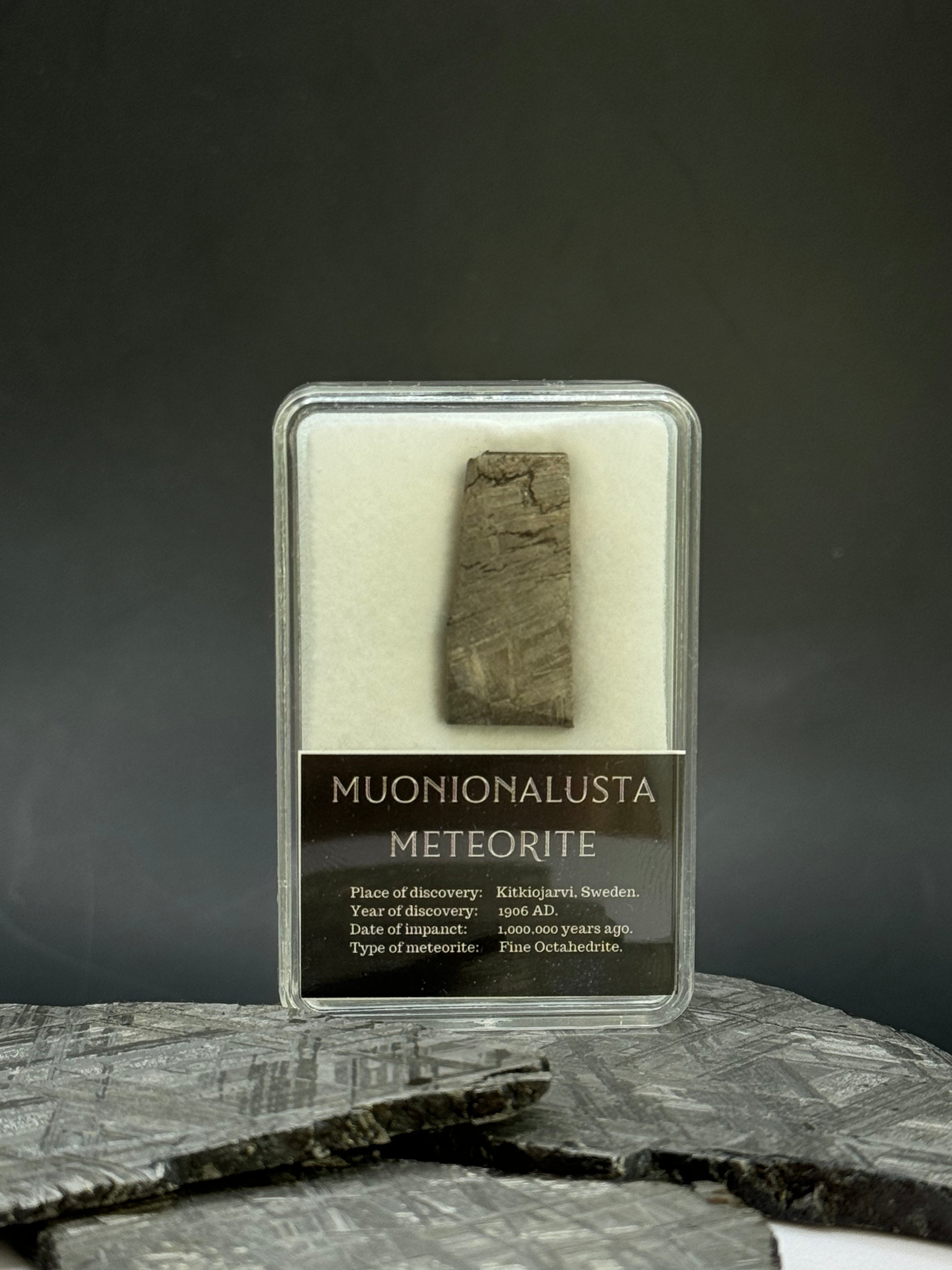Muonionalusta meteorite in display box. 6,61 grams.