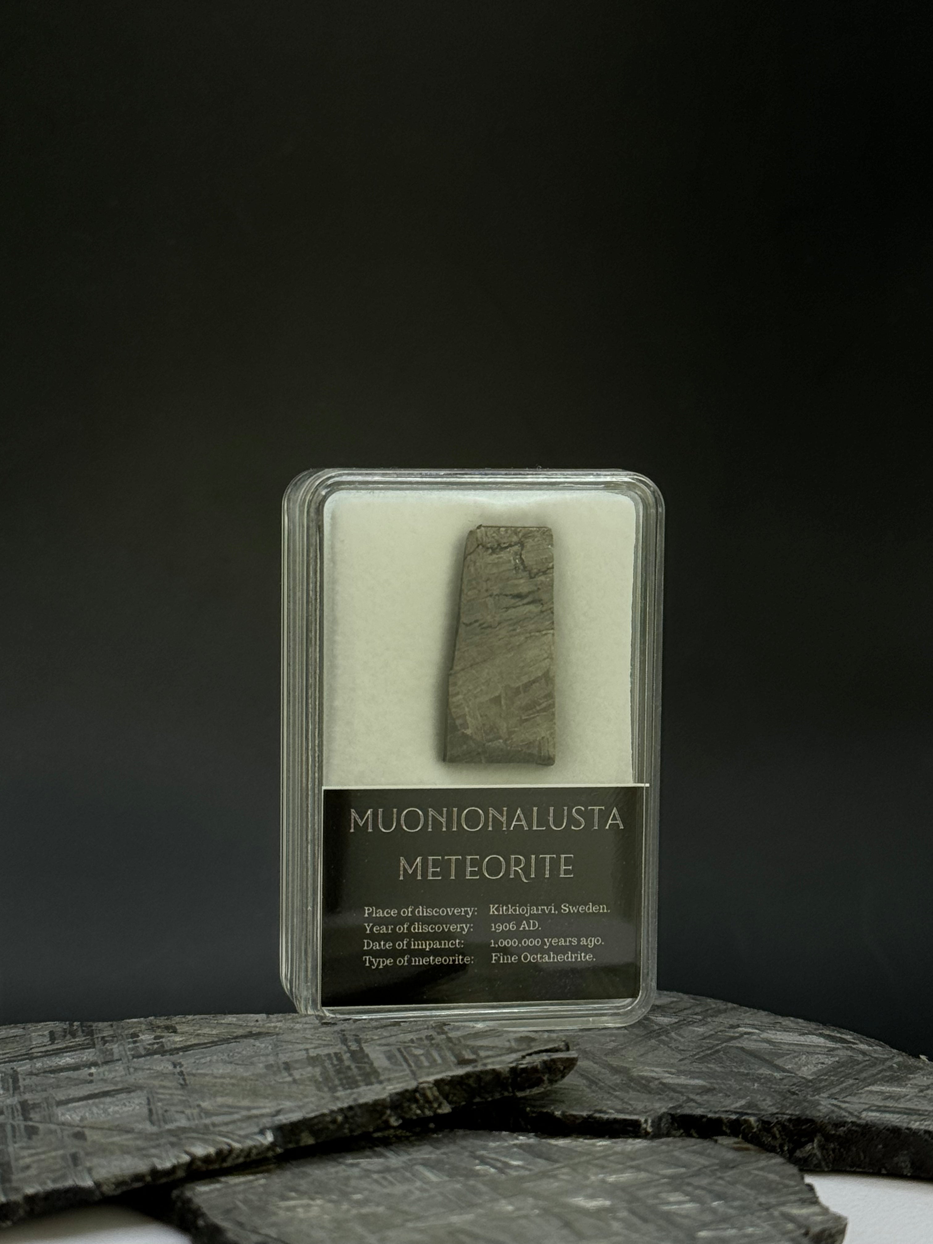 Muonionalusta meteorite in display box. 6,61 grams.