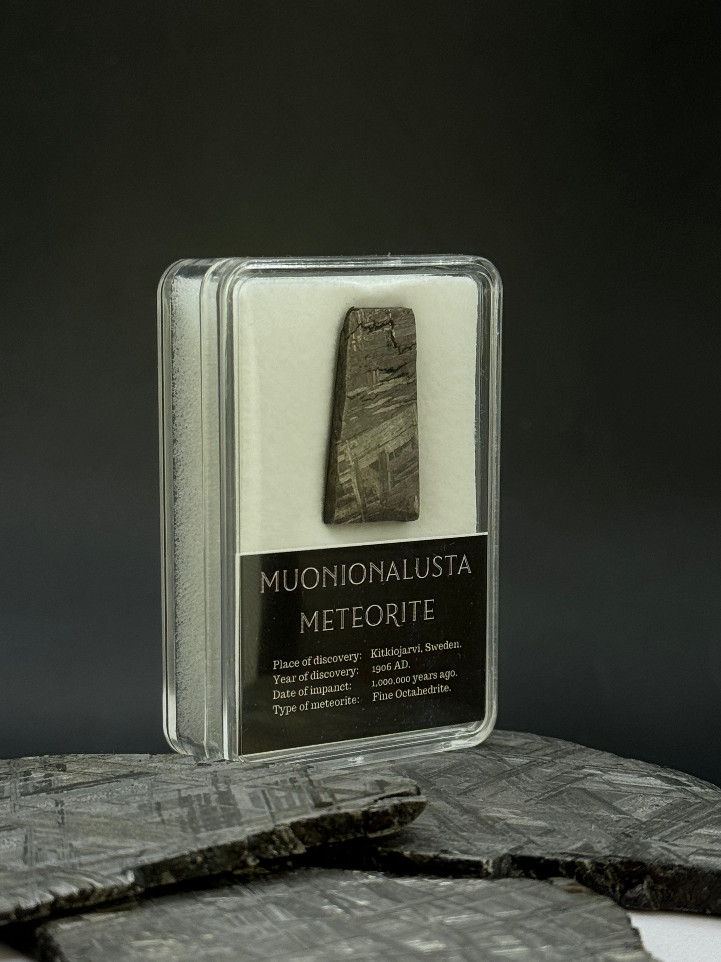 Muonionalusta meteorite in display box. 6,61 grams.