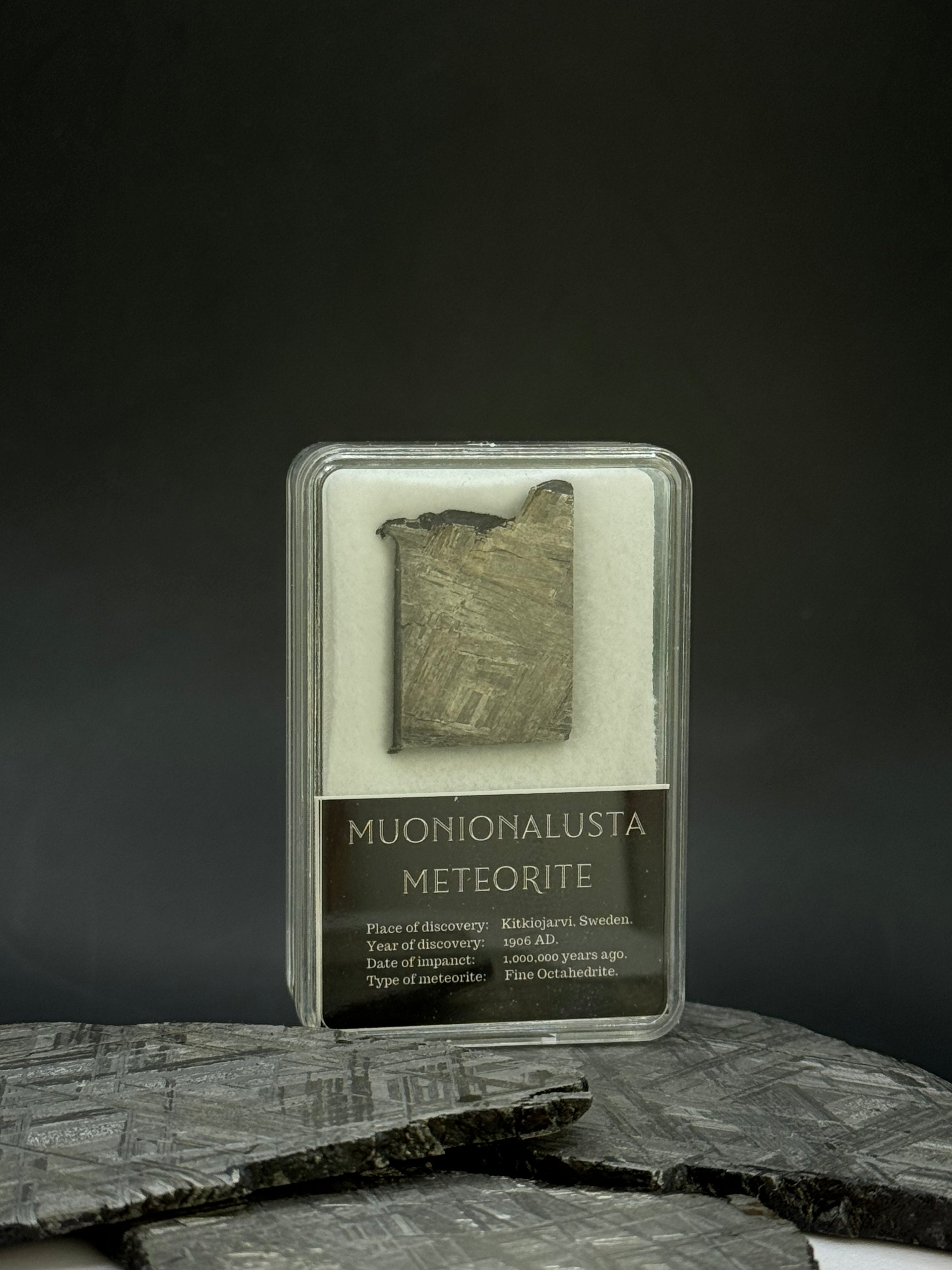 Muonionalusta meteorite in display box. 8,51 grams.