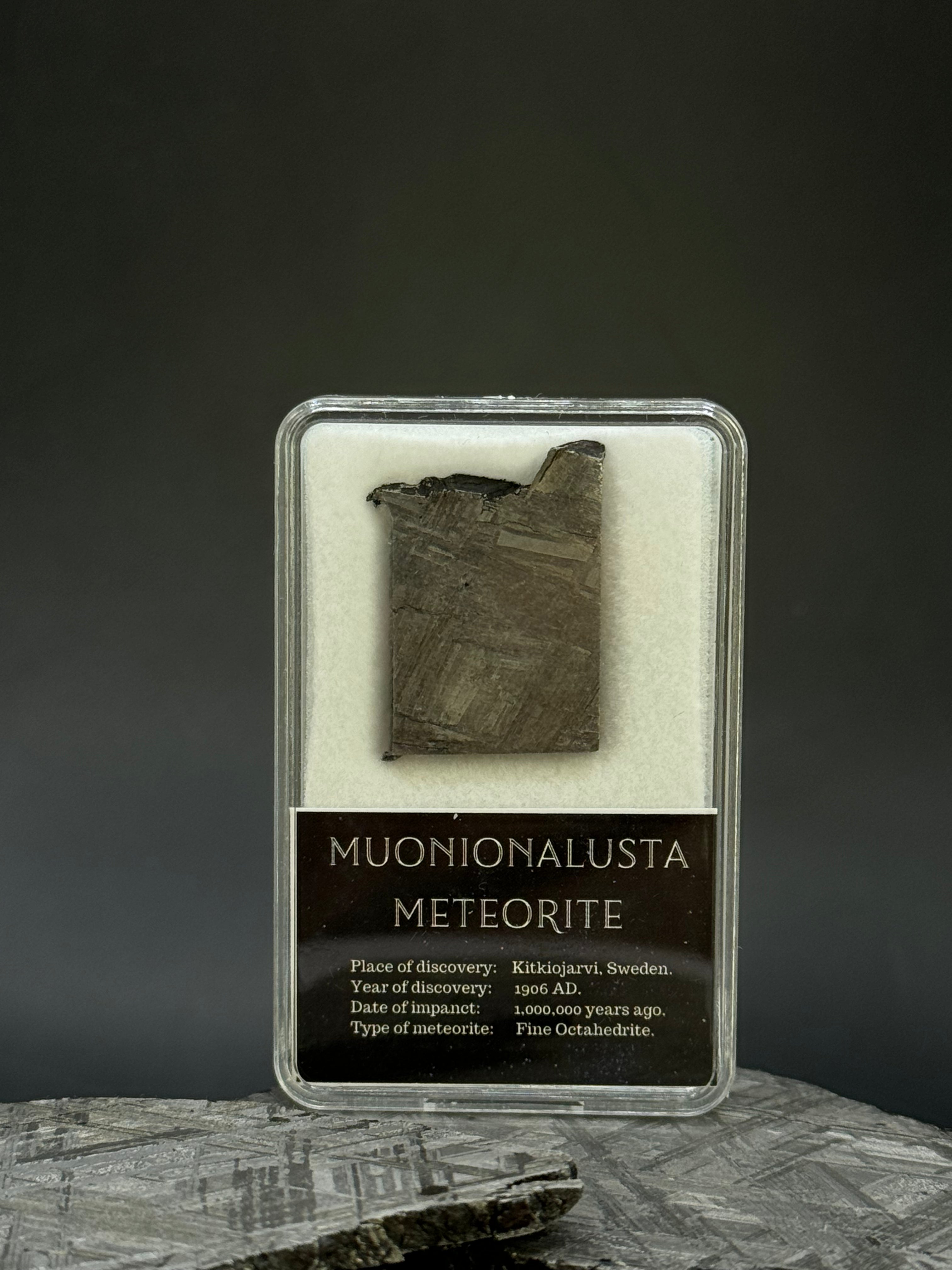 Muonionalusta meteorite in display box. 8,51 grams.